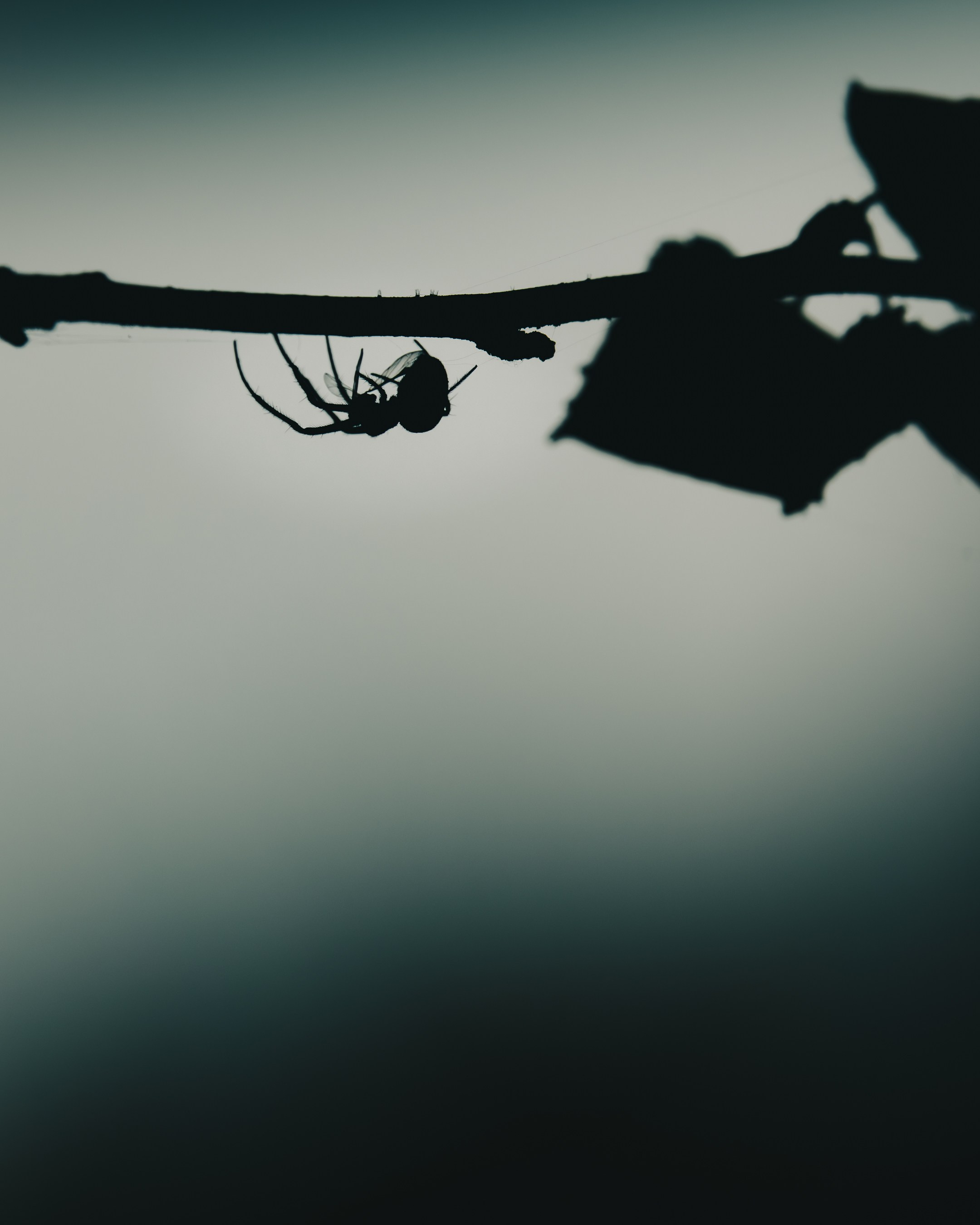 Conceptual. AndreyRKT Photo