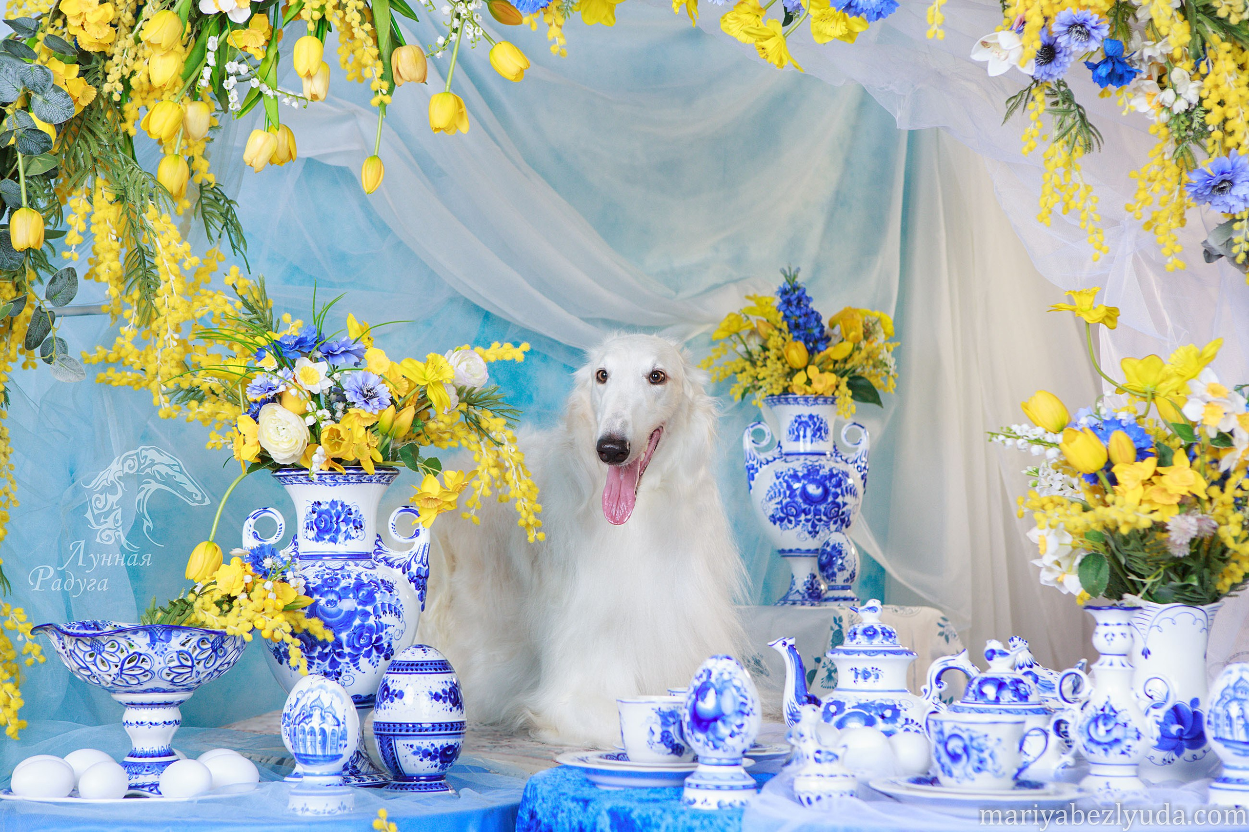 Русская борзая и гжель. Семейный и детский фотограф в Москве Мария Быкова
