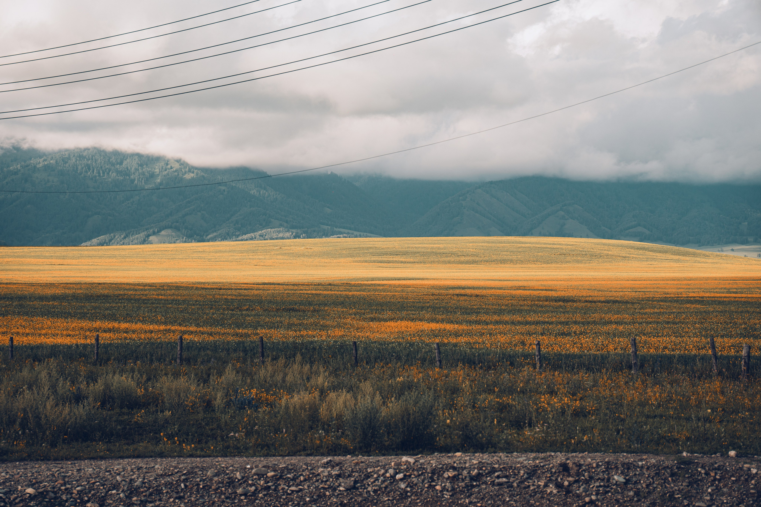 Алтай. Gusarov Travel Photography