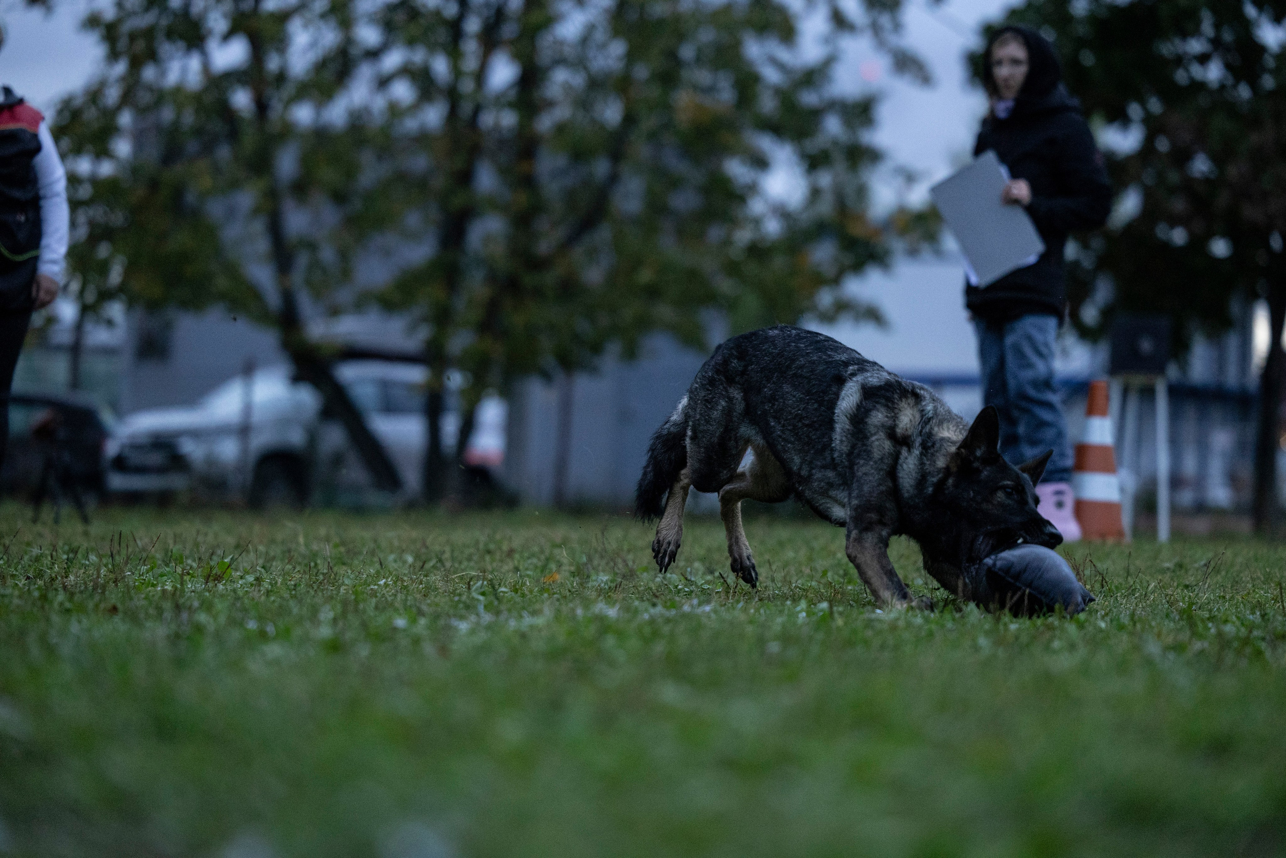 Испытания по Мондьорингу г. Пушкин. Фотограф-анималист Анна Маринич