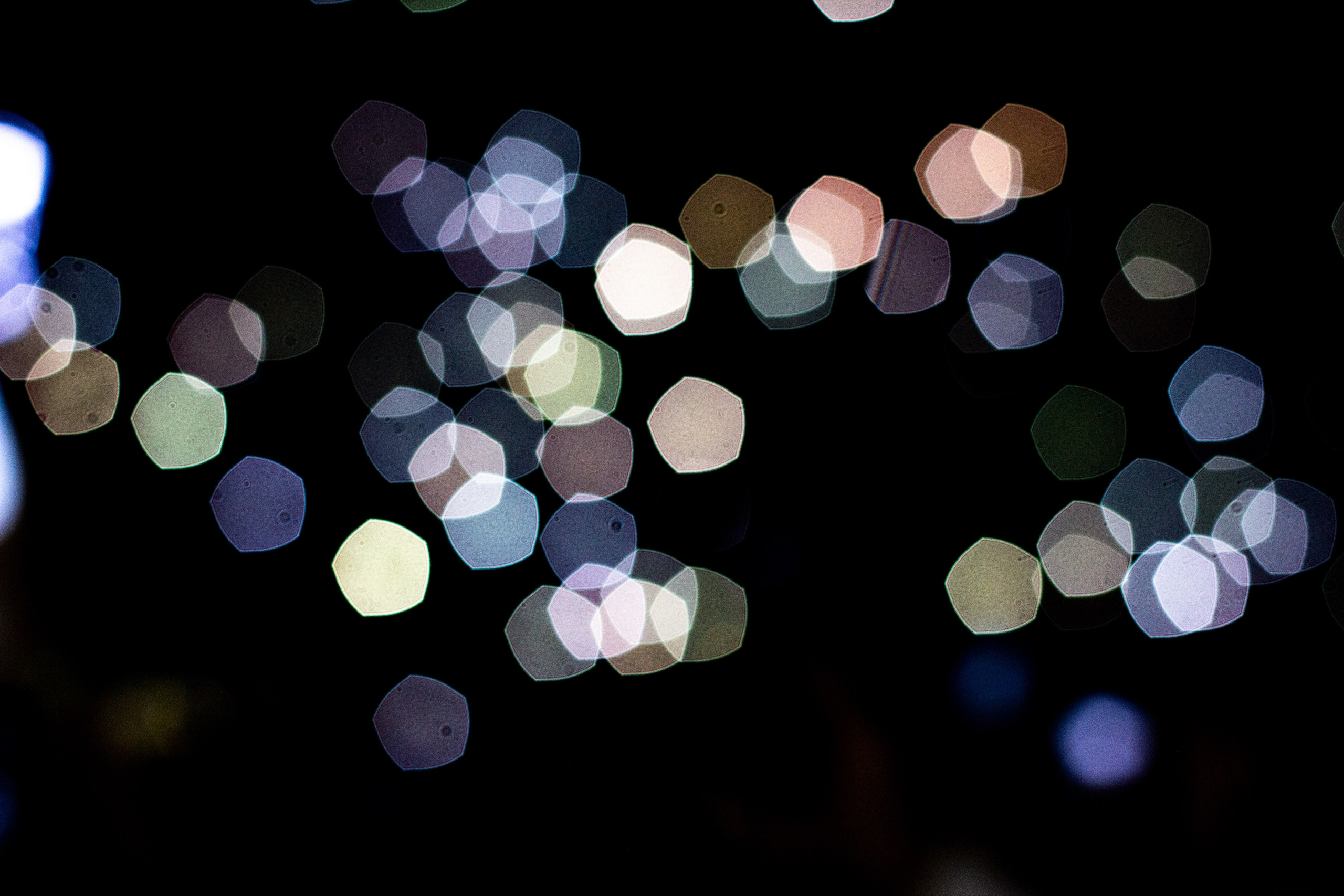 Концерт БИ-2. Фотограф в Самаре / Олеся Широнина