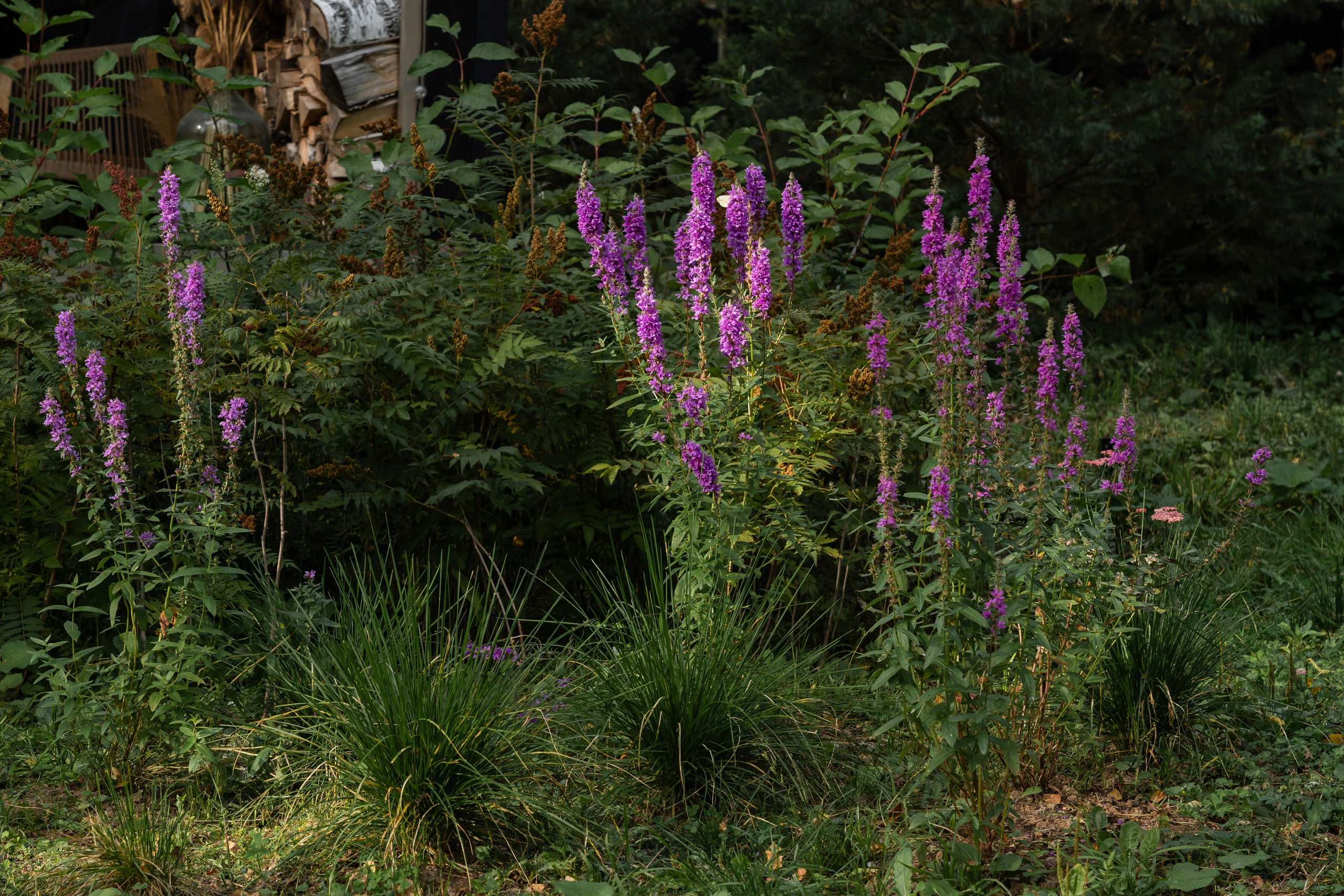 DublDom. Артамонов Александр | Архитектурный и ландшафтный фотограф