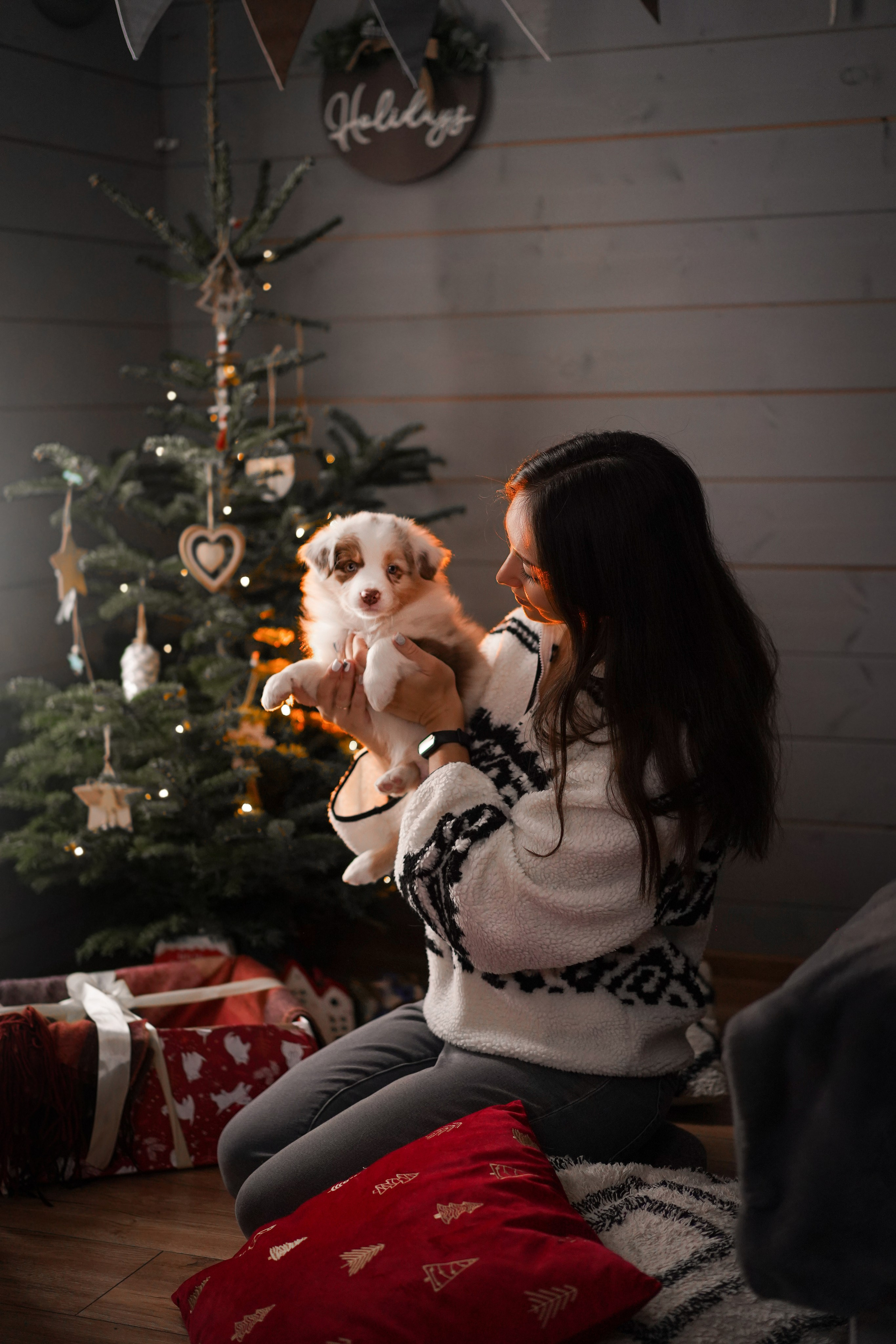 Новый Год с Пандой. Фотограф-анималист в Санкт-Петербурге Яна Мартынова