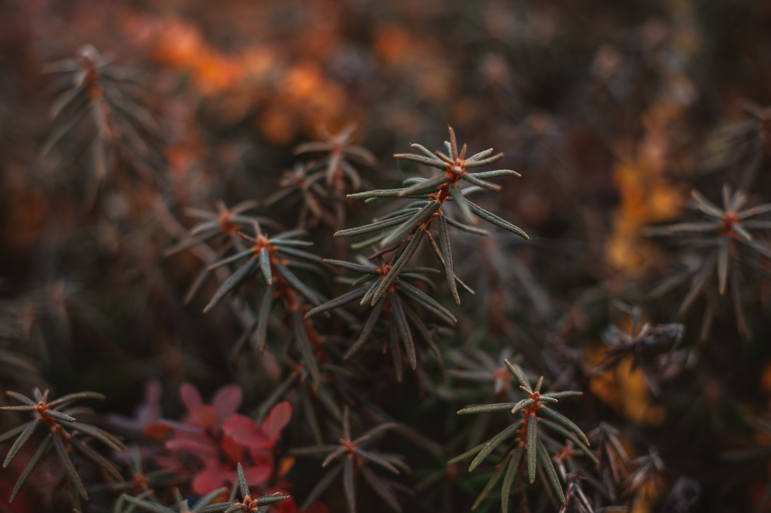 АВТОРСКИЕ ОТКРЫТКИ, 150руб. Фотограф Наталья Могилевская Мурманск Териберка Сейдозеро Рыбачий