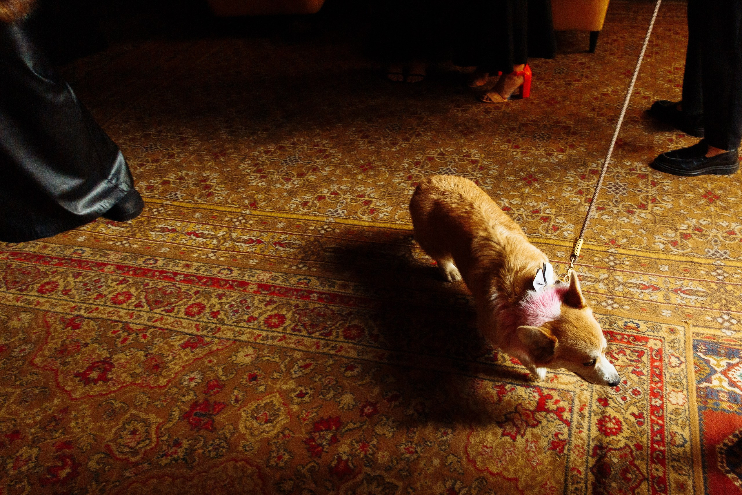 ПО ТУ СТОРОНУ. Свадебный фотограф Юлия Логинова