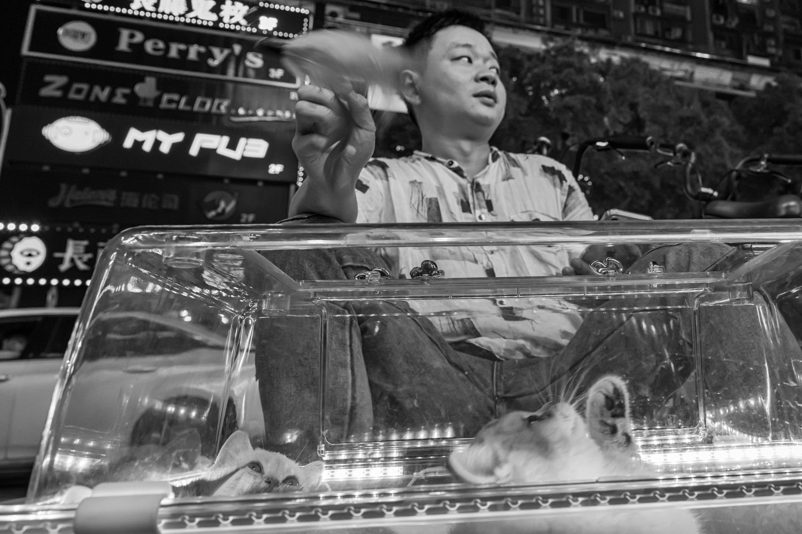 China. Three days — three cities. Beijing, Changsha, Shenzhen, 2024. Dimitri Bakhtadze photographer