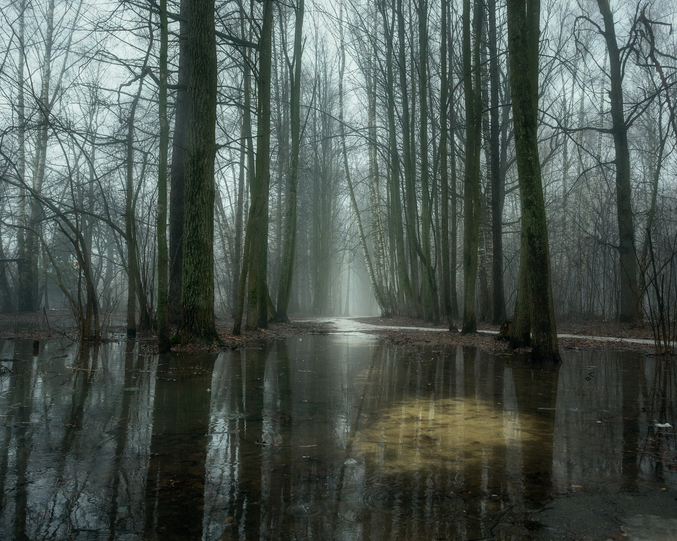 Природа (Весна). Фотограф Мартыненко Дмитрий
