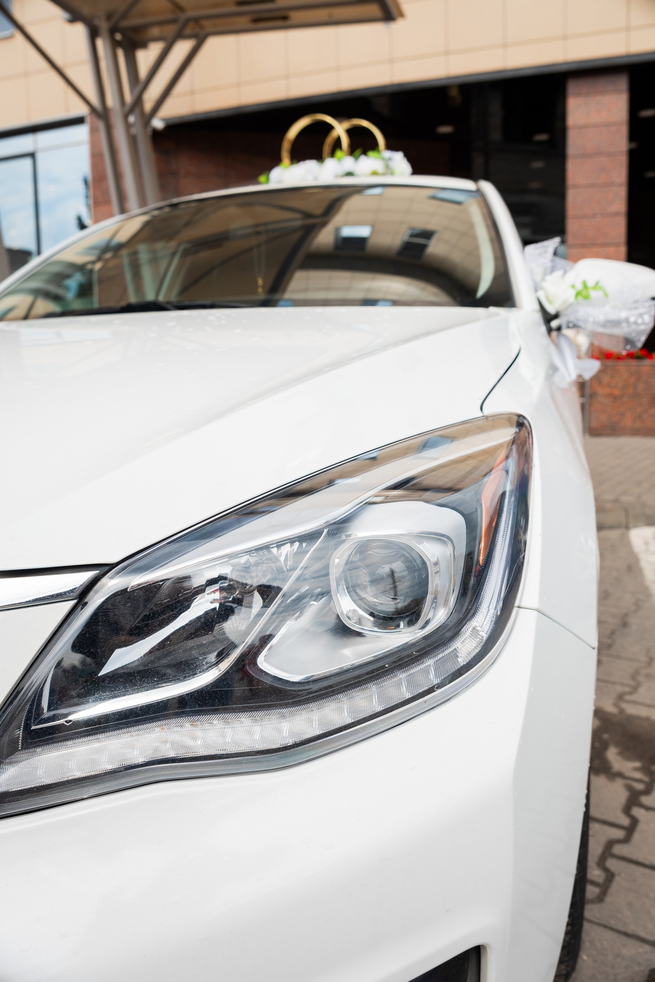 Свадебная фотосессия Николая и Виктории в Липецке