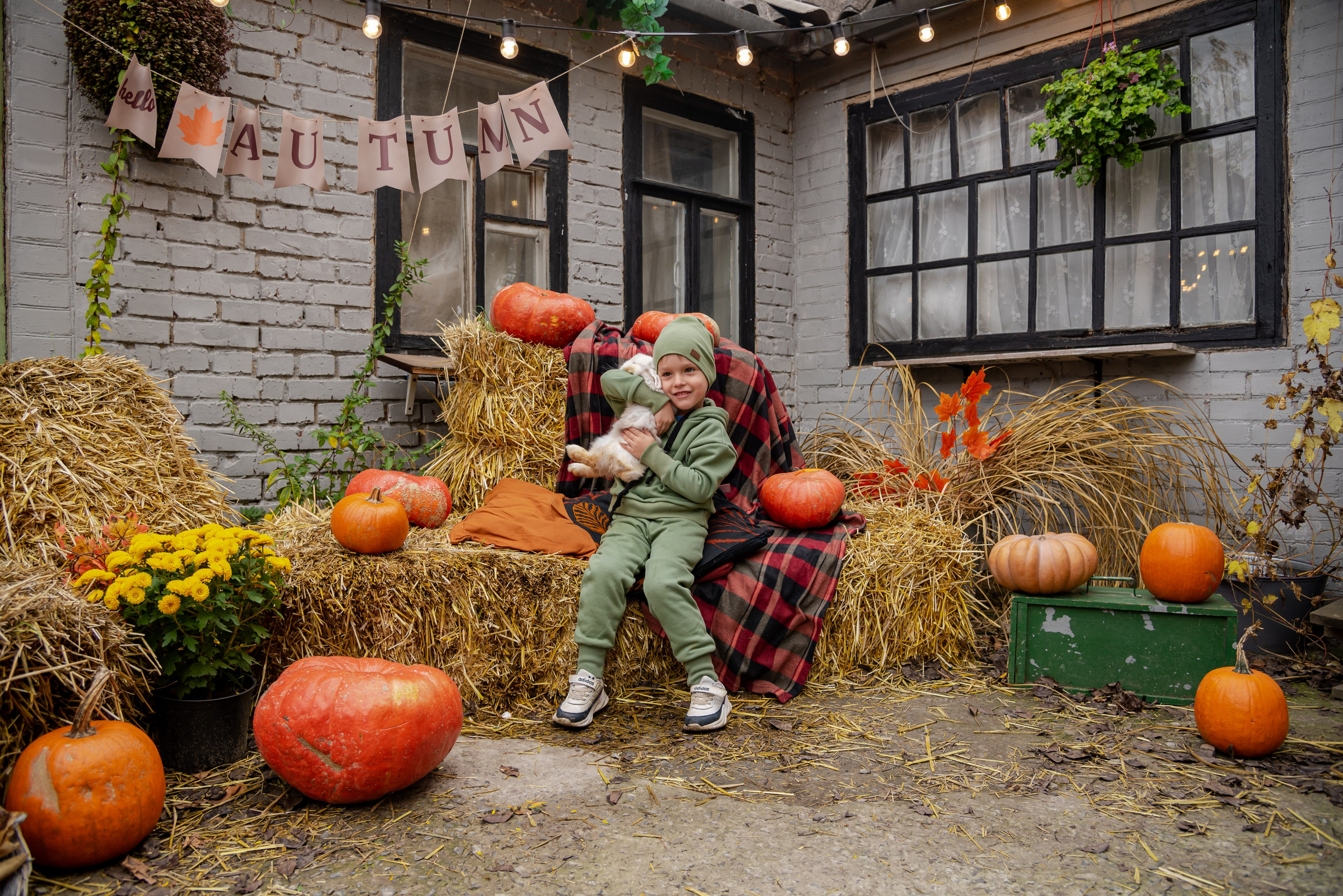 Авакадо. Фотограф Галина Нестерова