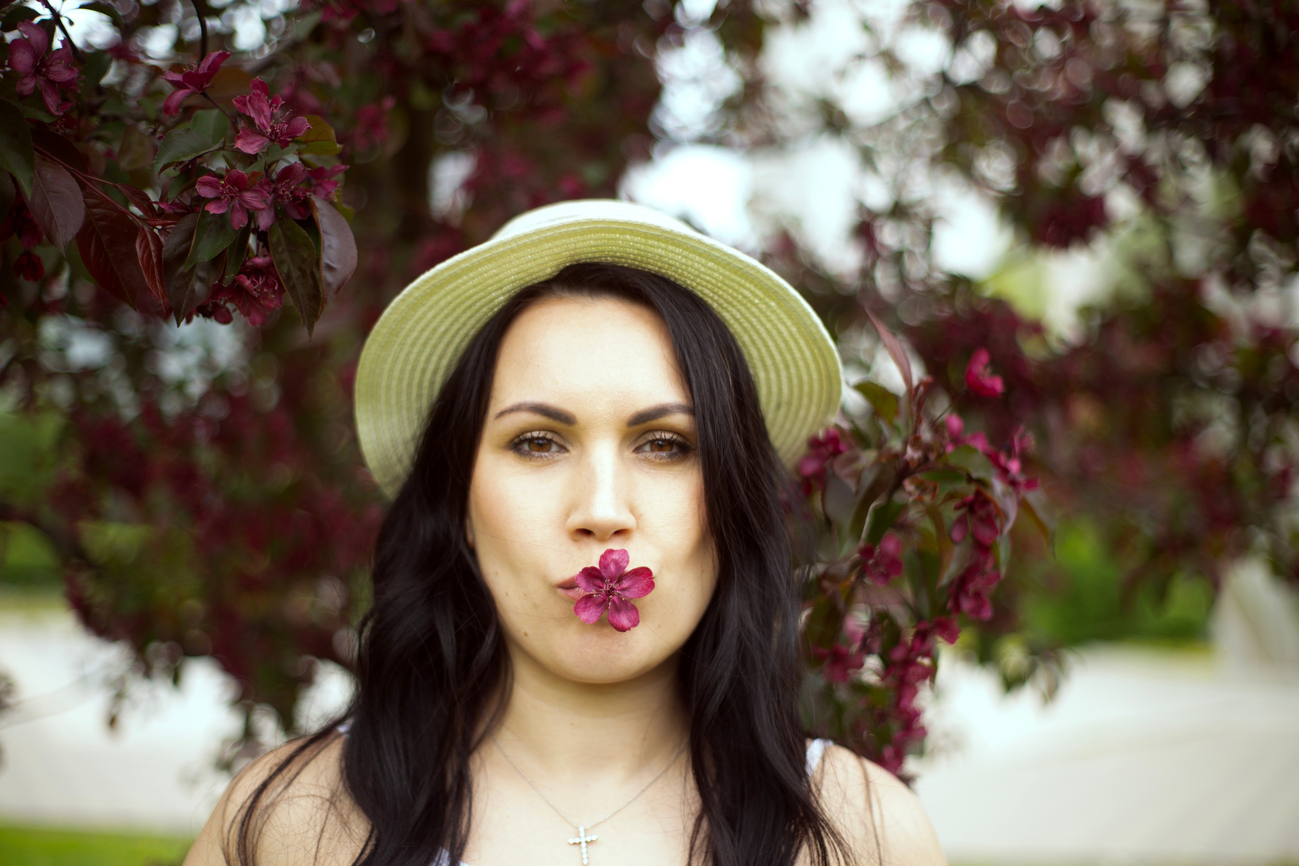 Цветение. Главная