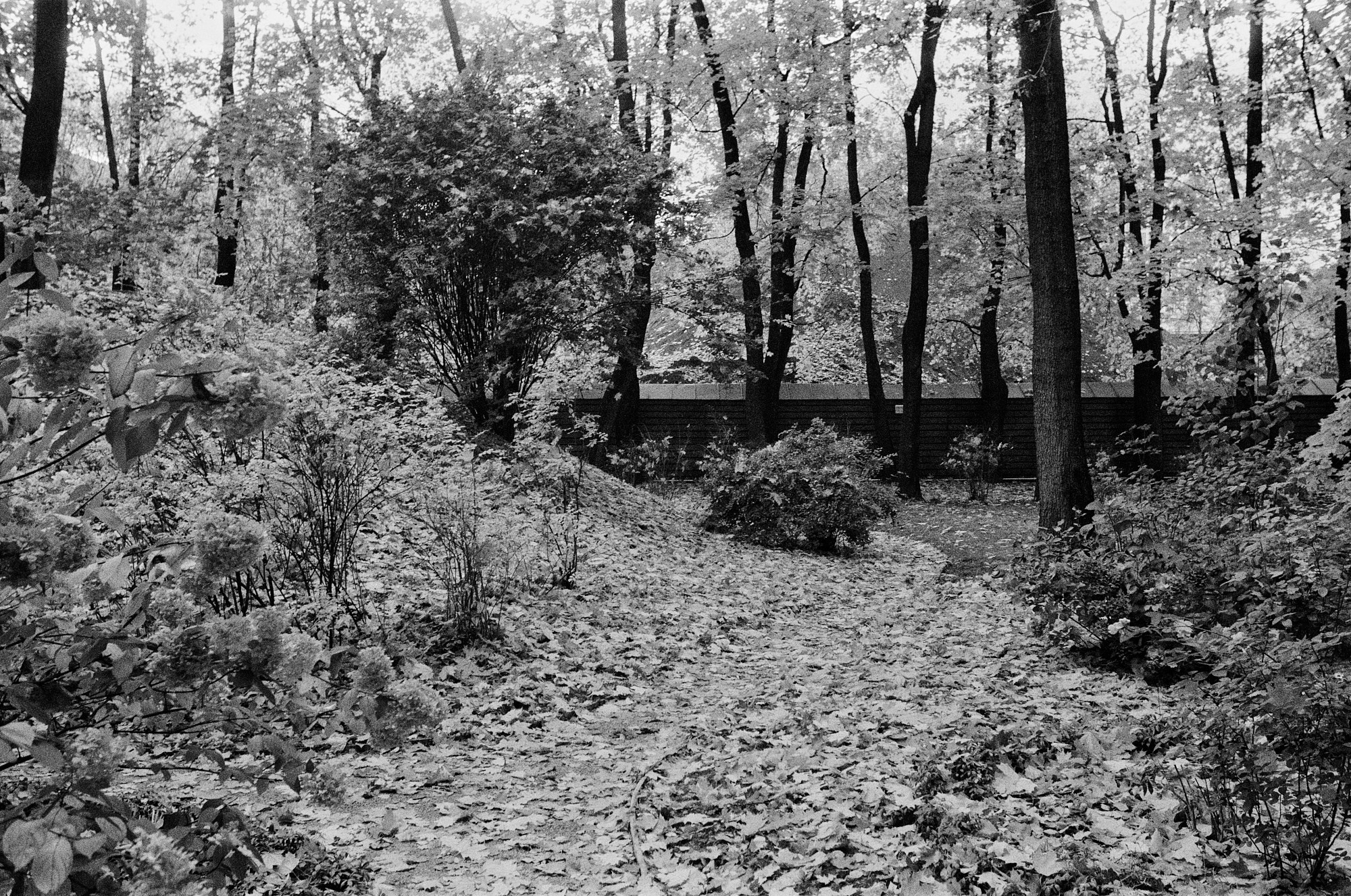 The Lev Tolstoy House Museum. Another person Pavel Potseluev. A photographer in 2025