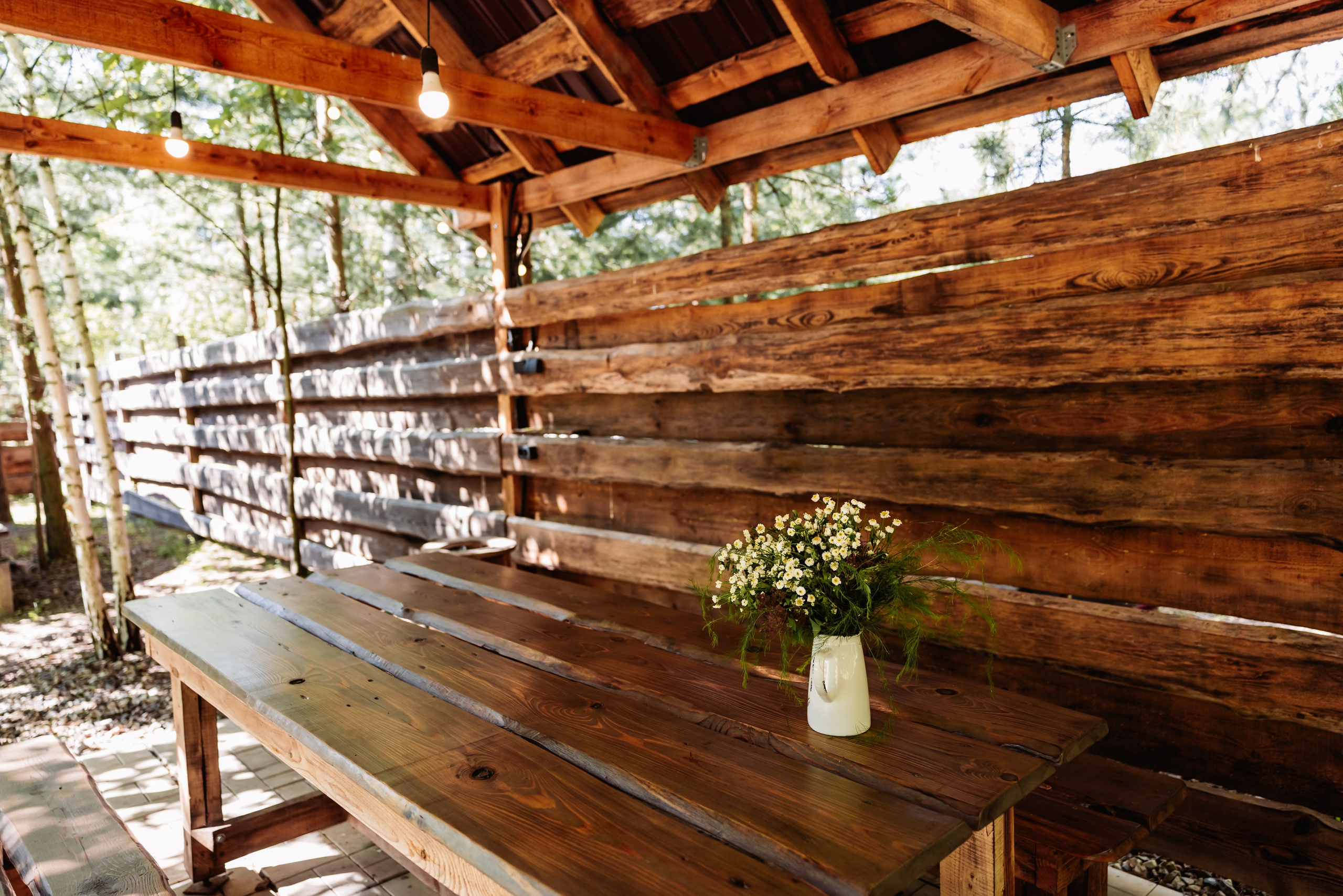 БЕРЕЗКА ВИЛАДЖ | Глэмпинг в Коломне | Юрта «Лесная». ФОТОГРАФ ИРИНА ШАМАТАВА