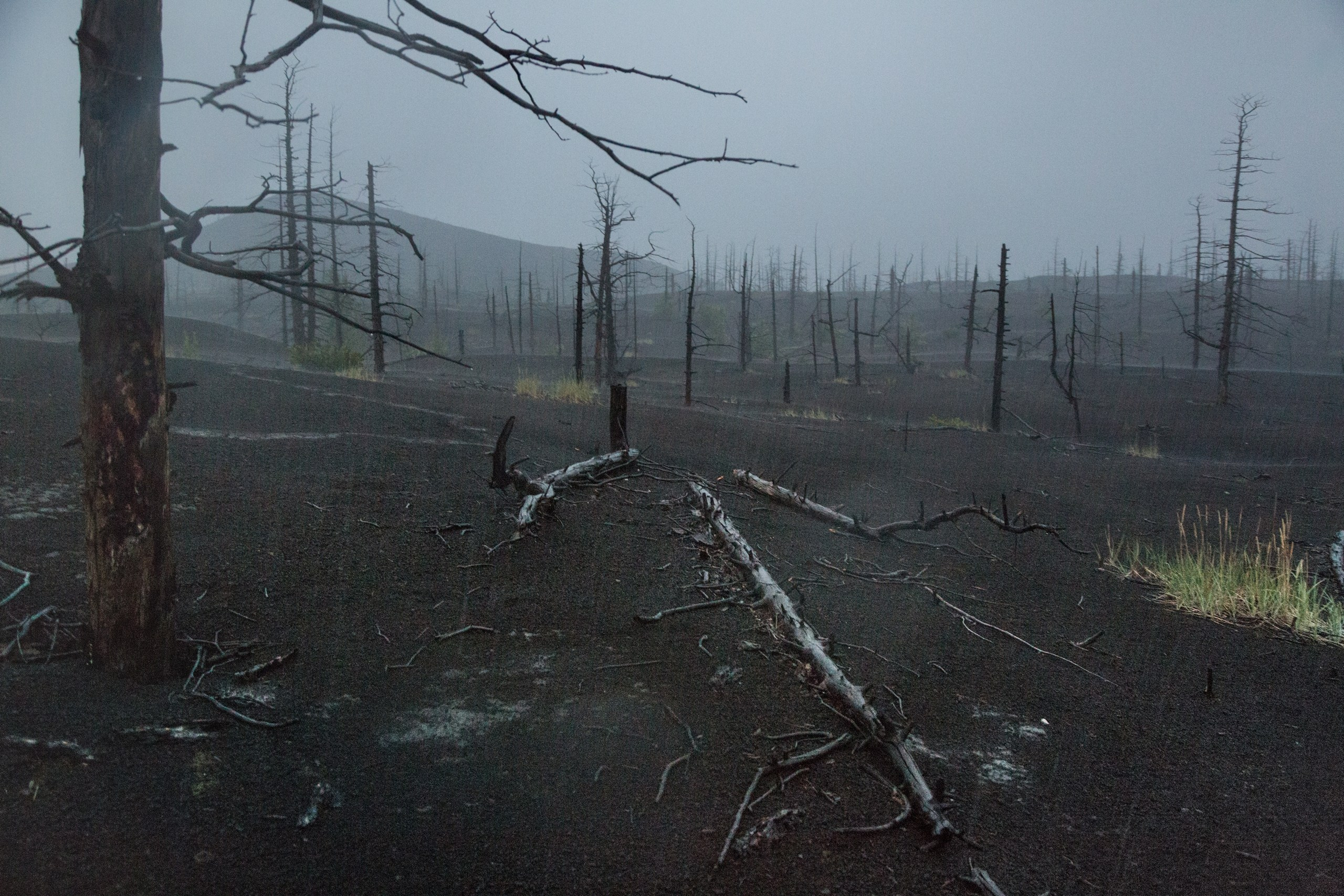 Камчатка. Фотограф Владимир Медведев