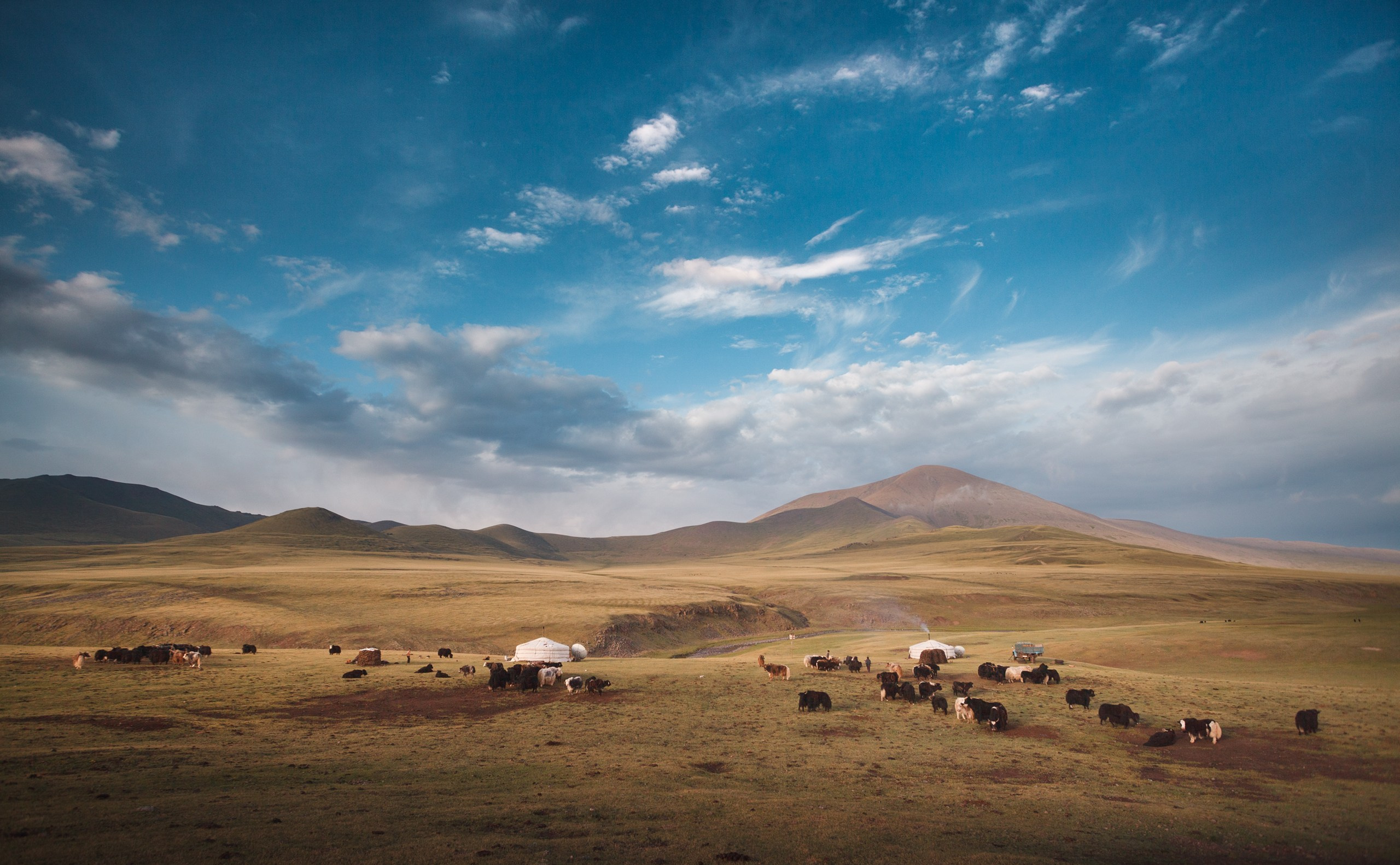 Монголия. Фотограф Владимир Медведев
