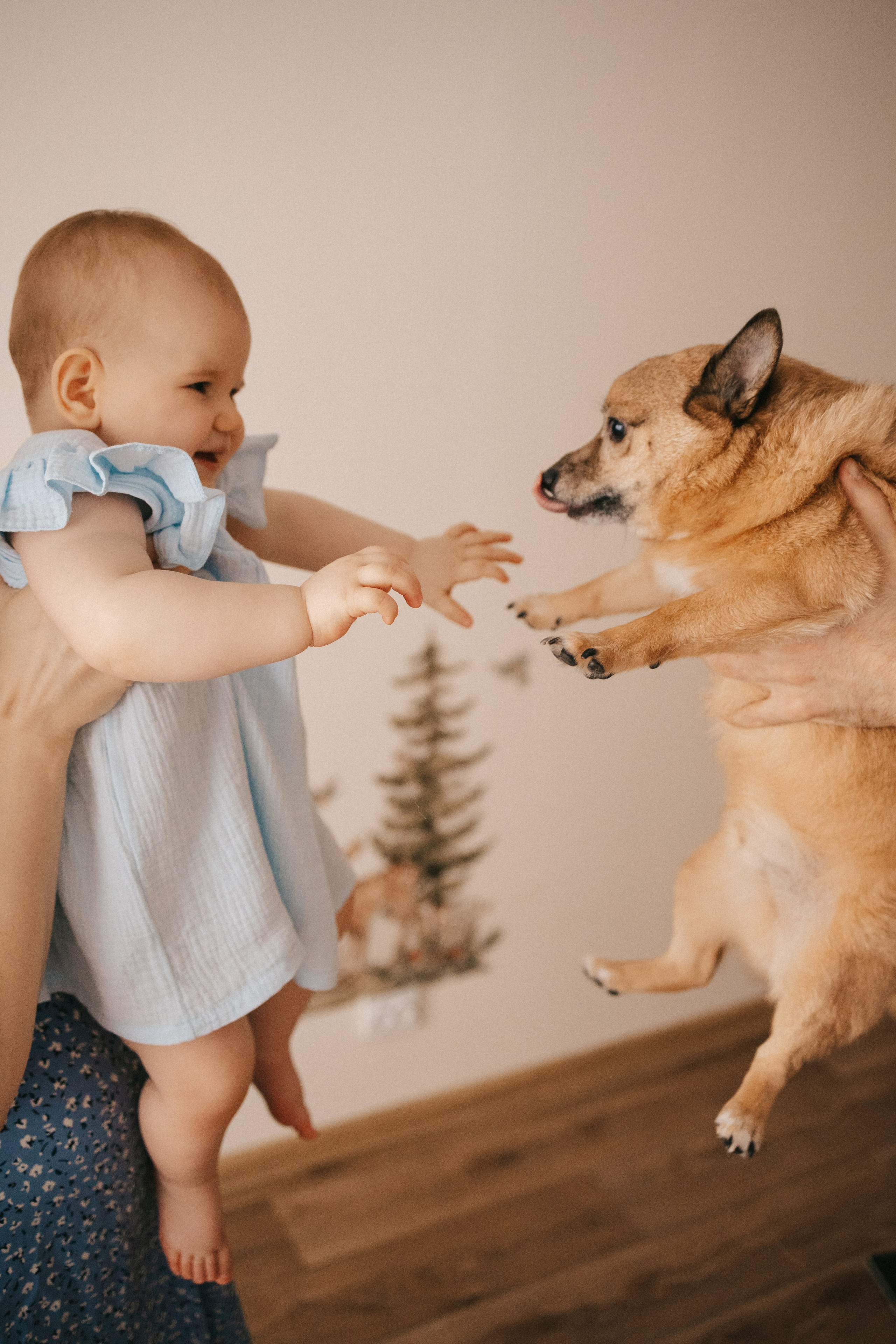 Маша с Лёшей и дочка Саша. Фотограф Нижний Новгород