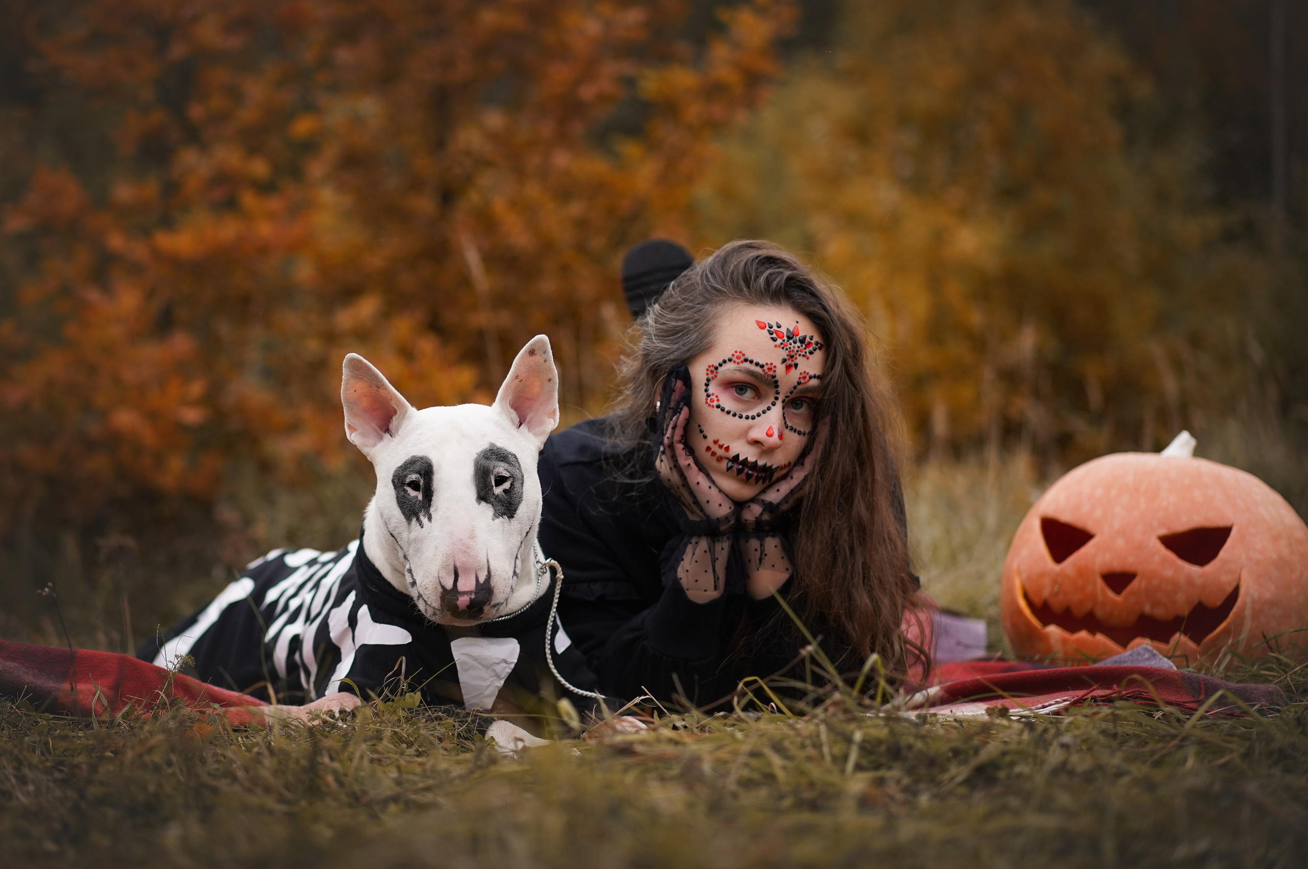 Настя Рома и Сахар Хелоуин. Фотограф-анималист в Санкт-Петербурге Яна Мартынова