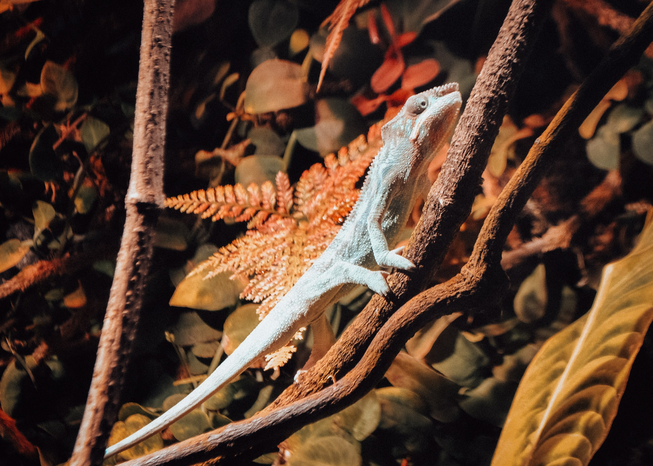 Аквапарк. Портретный фотограф DanilNabody