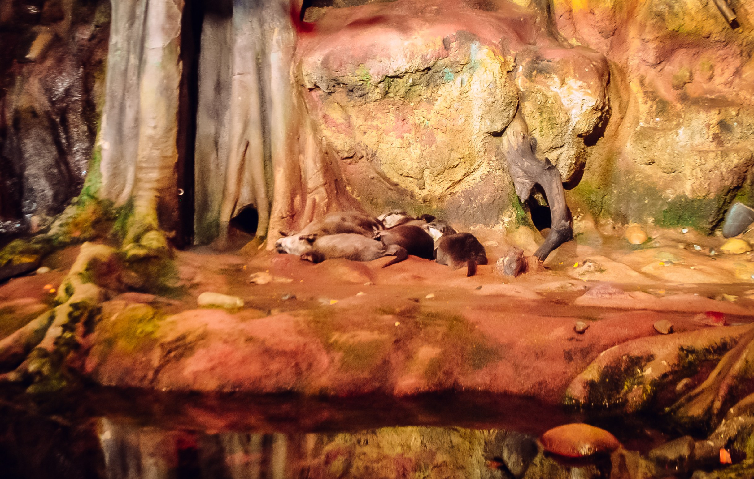 Аквапарк. Портретный фотограф DanilNabody