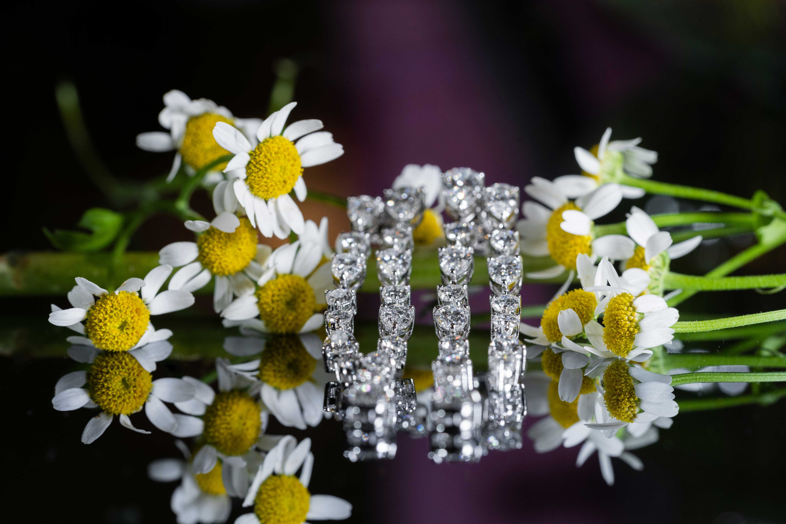 Sarah home engagement