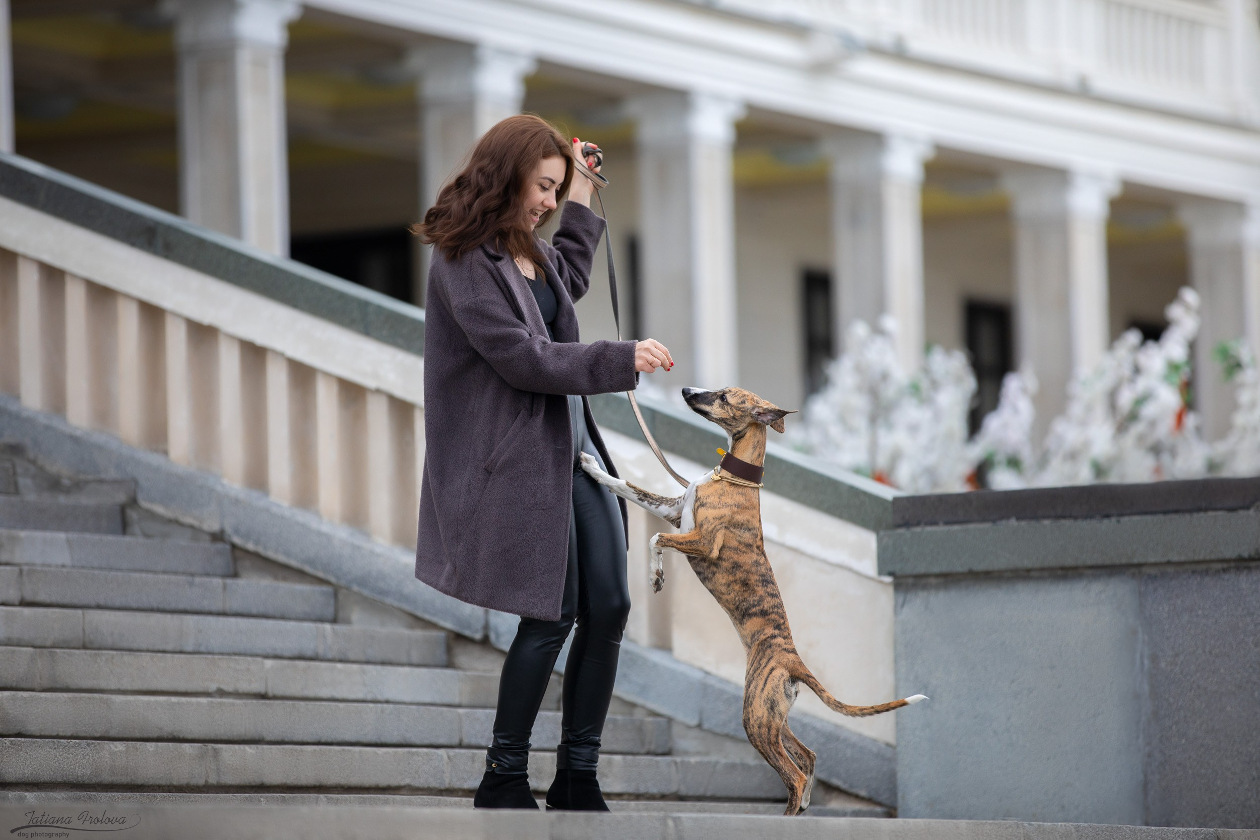 Анонс городской съемки с собакой. Фотограф-анималист в Москве и Московской области Татьяна Фролова