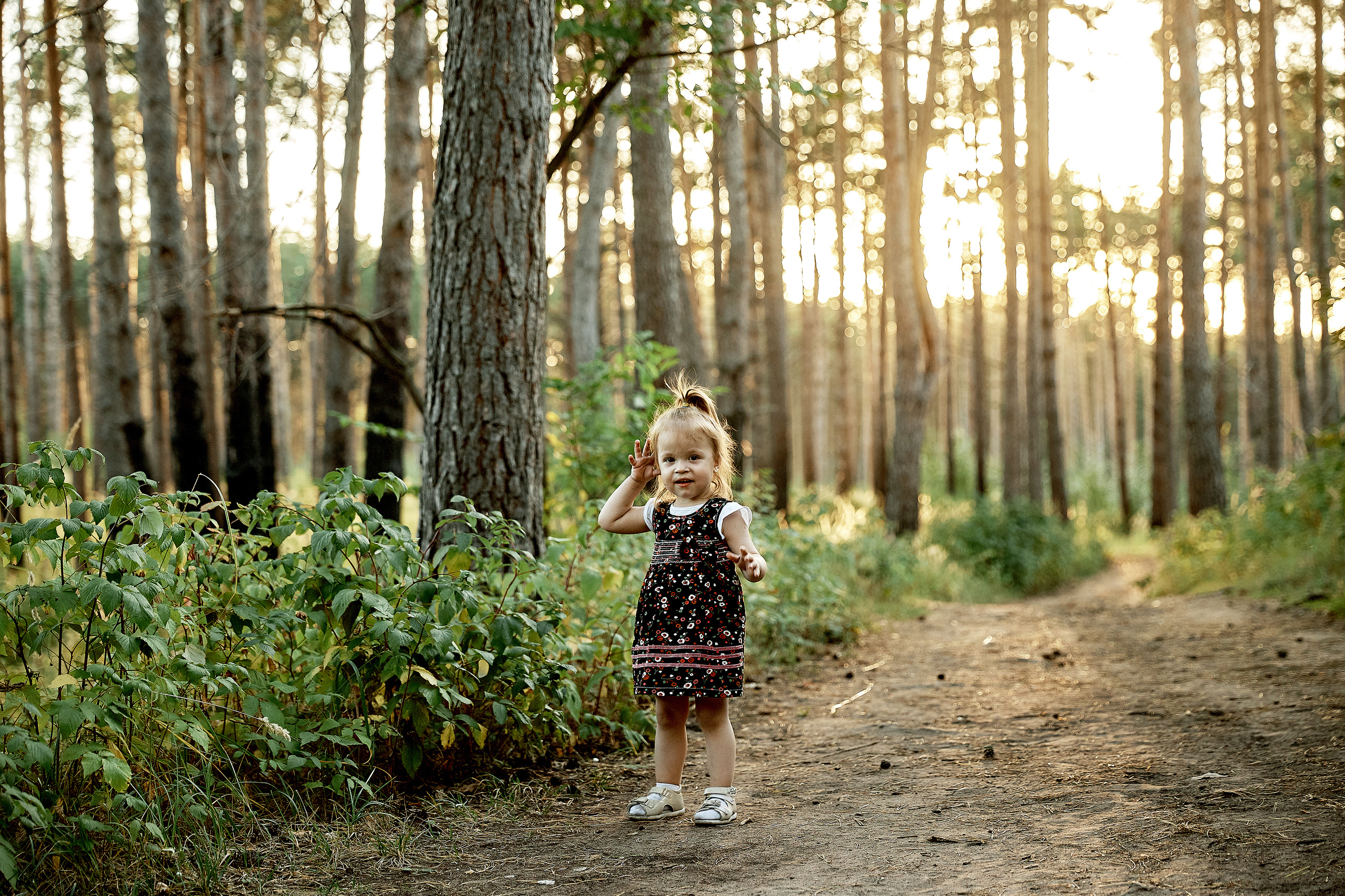 Семейная фотосессия в лесу. Свадебный фотограф в Ульяновске Александр Никитин