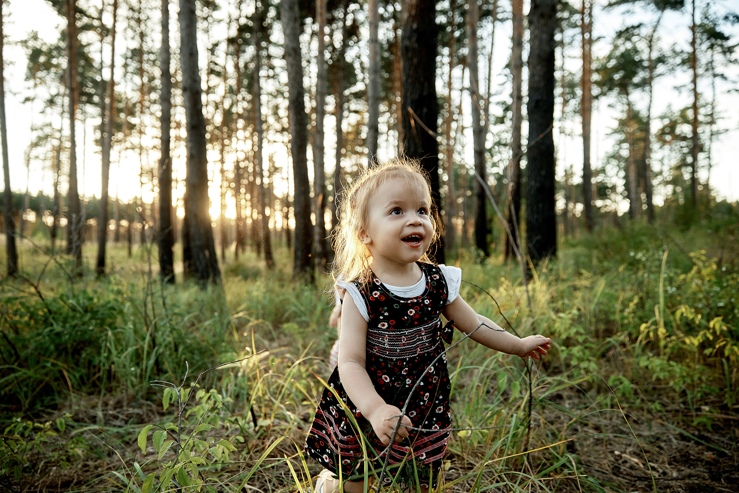 Семейная фотосессия в лесу. Свадебный фотограф в Ульяновске Александр Никитин