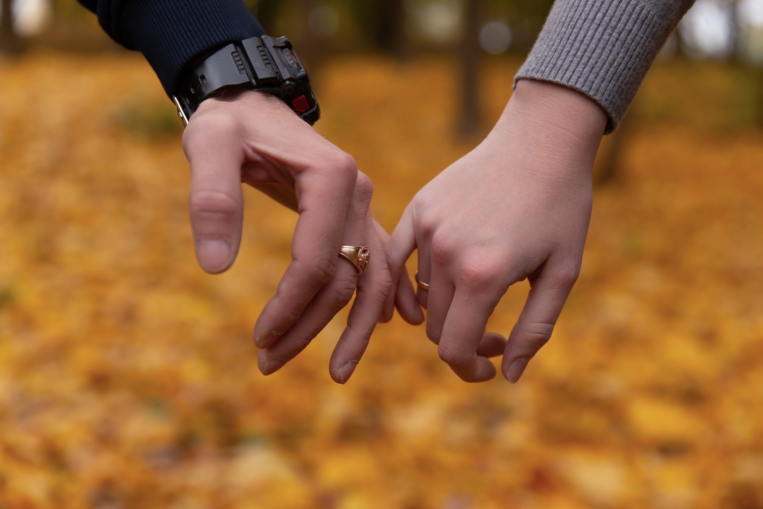 Love Story Алексей и Анастасия. Фотограф Тула