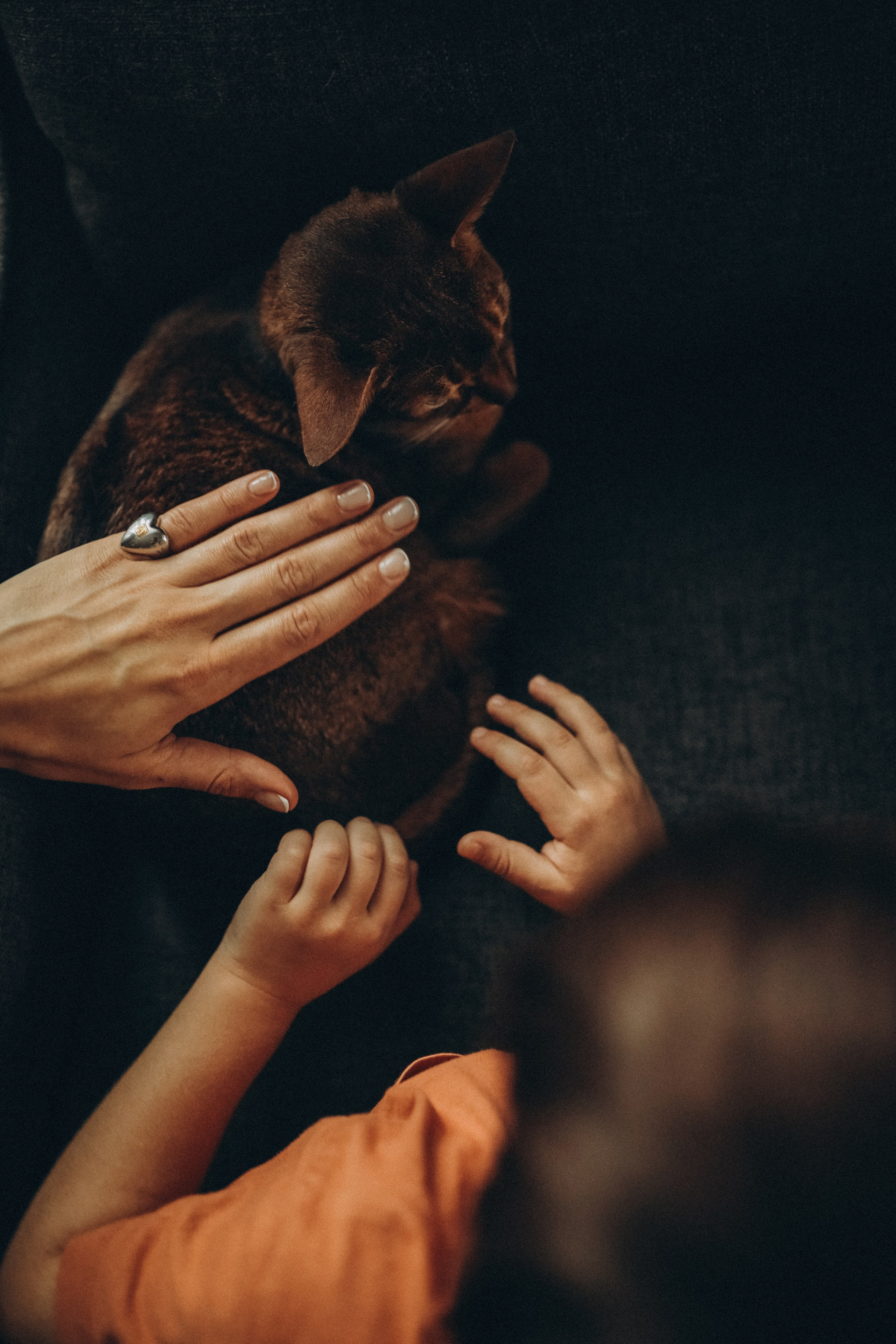 Один день дома. Семейный и детский фотограф в Москве Анастасия Меликова