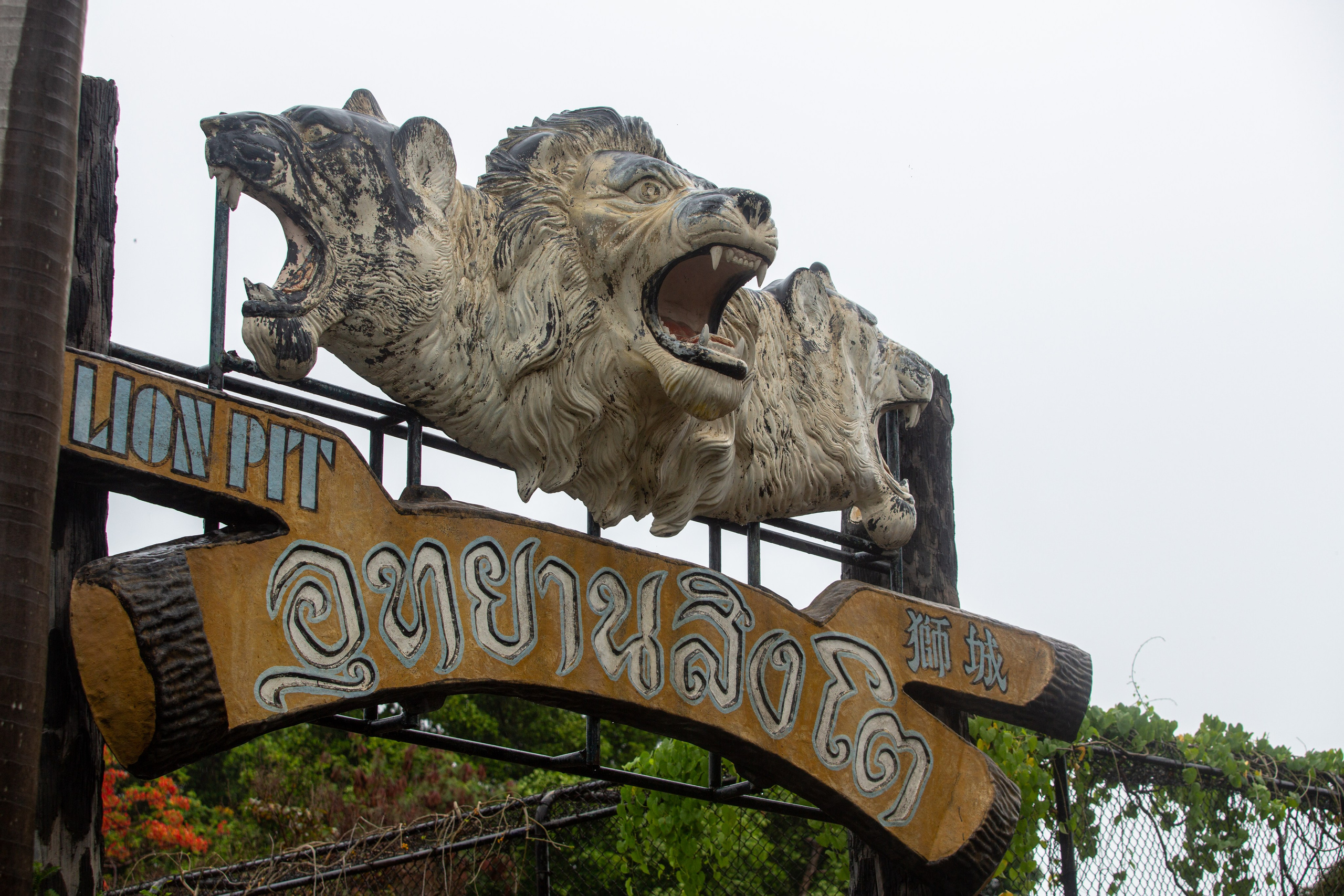 Samut Prakan Crocodile Farm & Zoo. Photographer Sonkina Tatiana (Tanya Ash)
