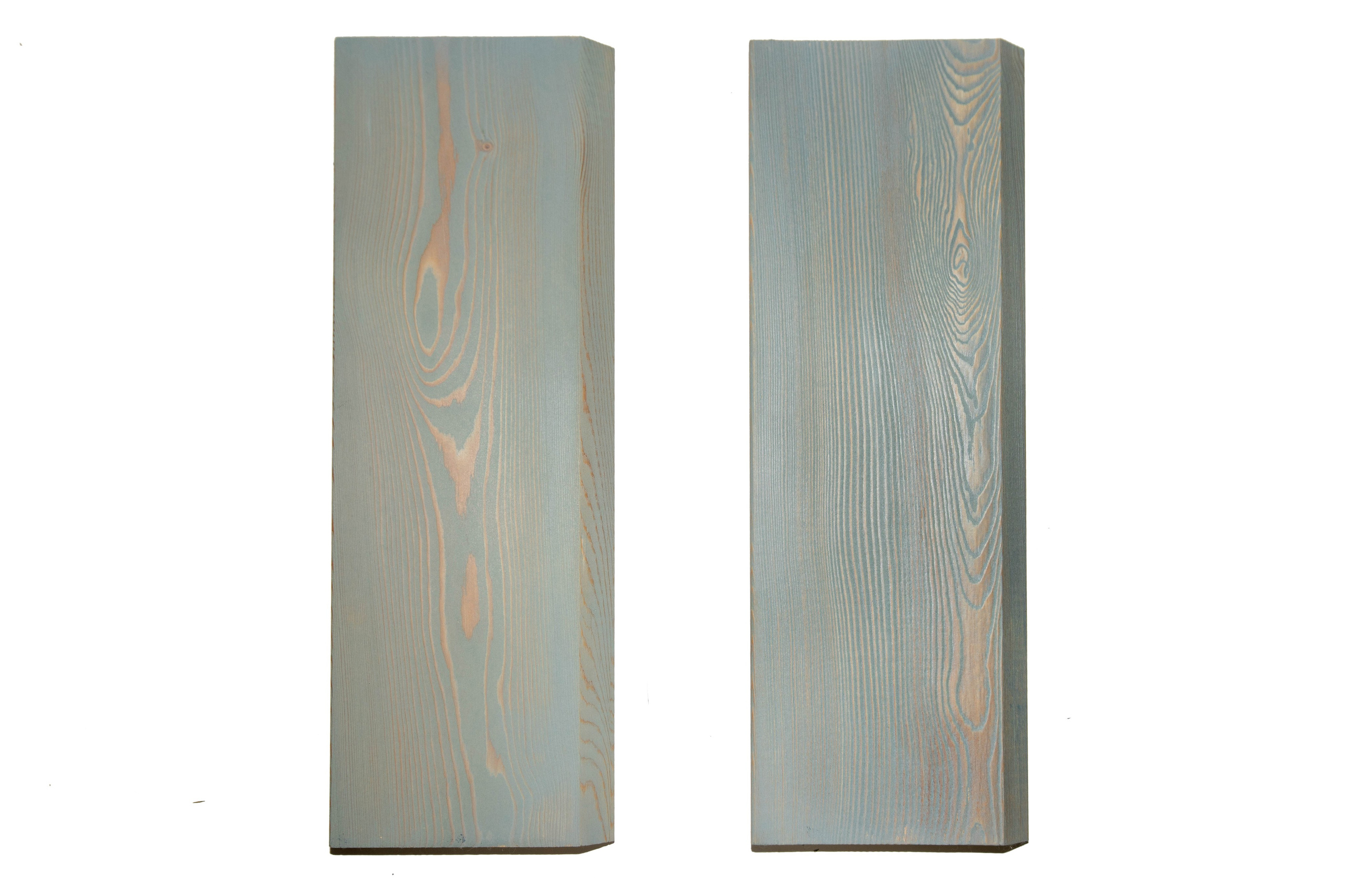 Дерево. Фотограф