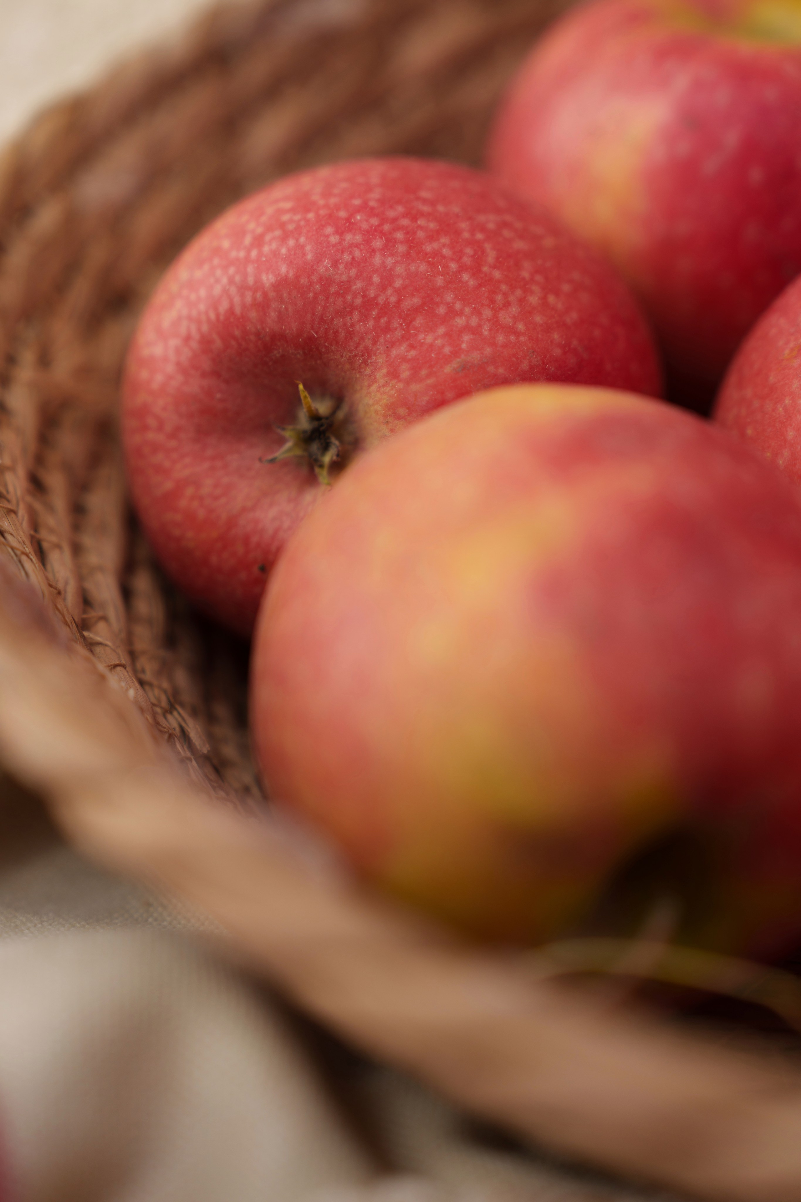 Михаил и Ольга (банкетная часть г. Брянск). Свадебный и репортажный фотограф Элина Козырьянова