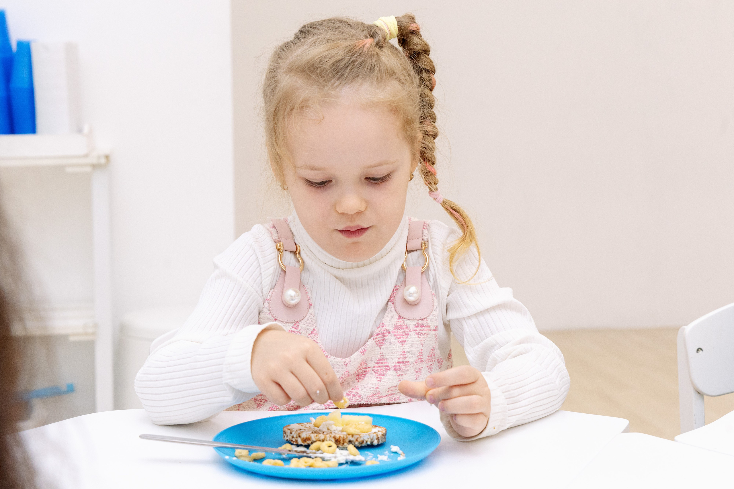 Сад и школа