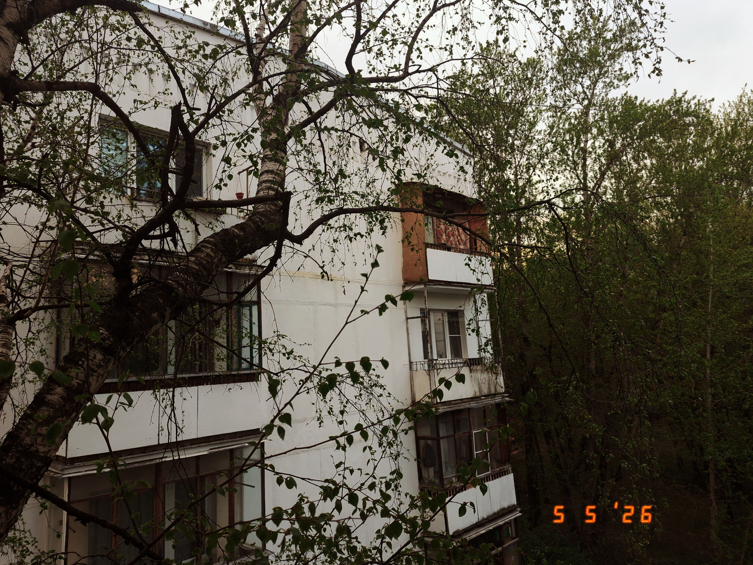 Камера телефон iphone camera. •fpsmax• фотограф-ретушер