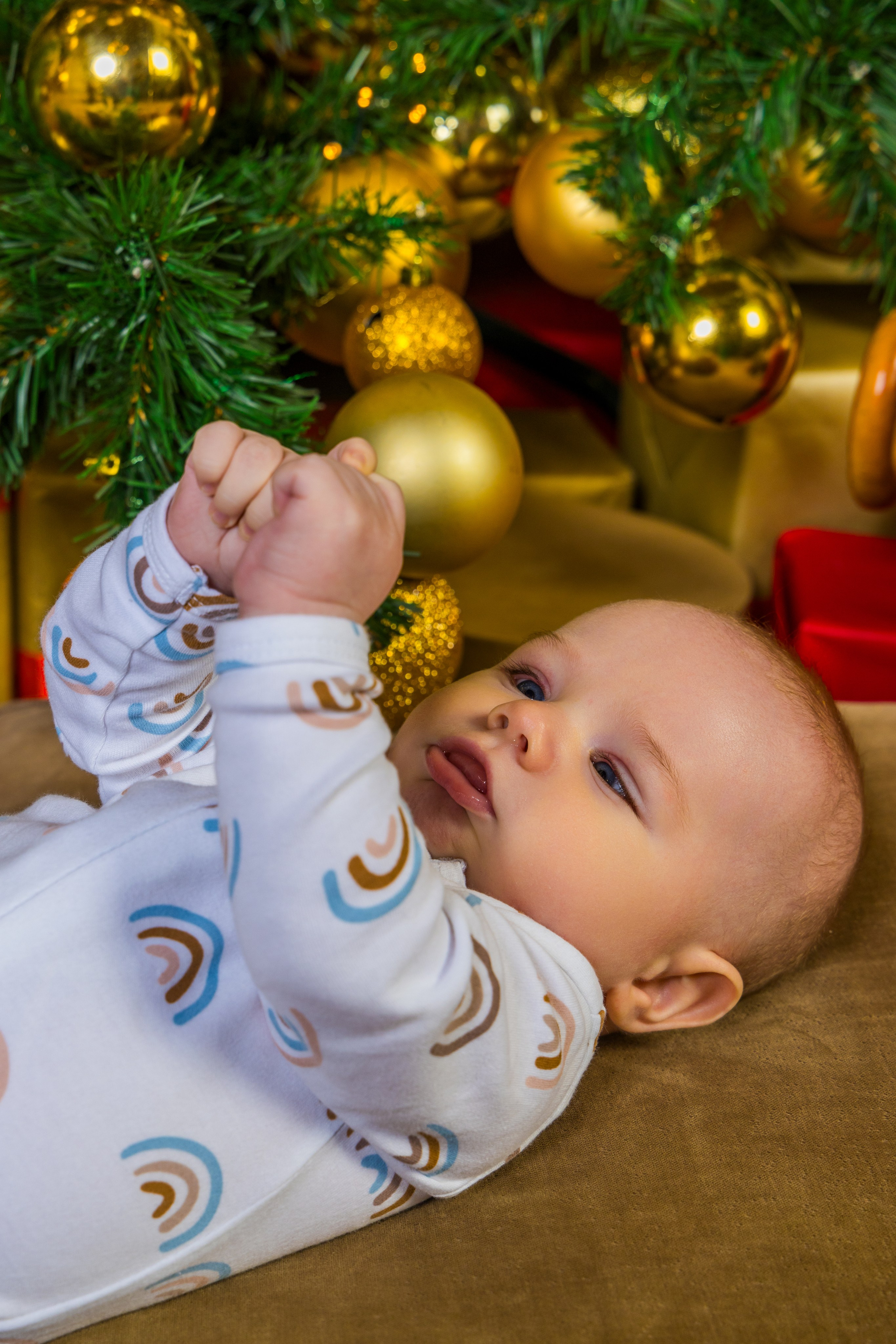 Студия. Photomantis