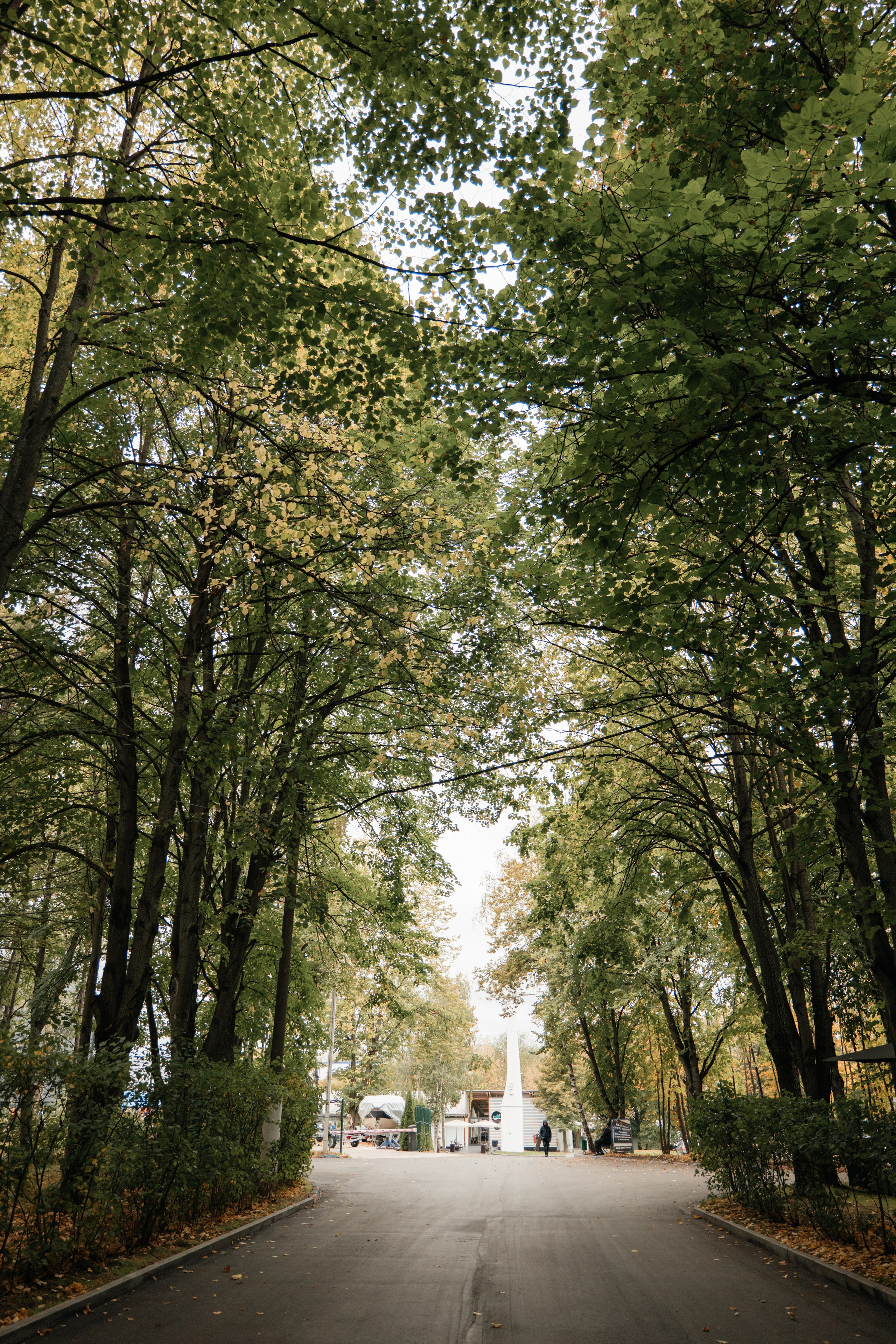 DENIS & MARIA. Свадебное ФОТО & ВИДЕО Москва/Липецк