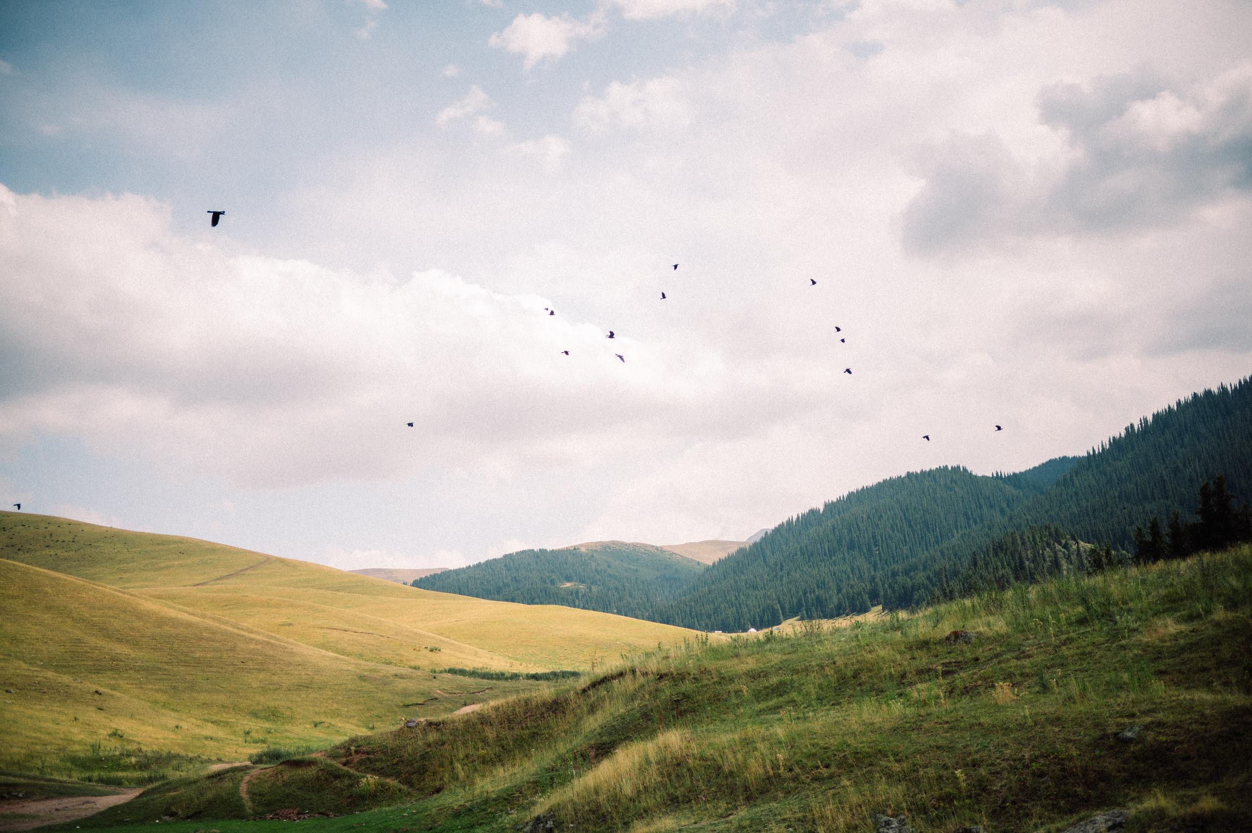 Плато Ассы: июль 2025. Фотограф в Алматы — Дарья Фёдорова