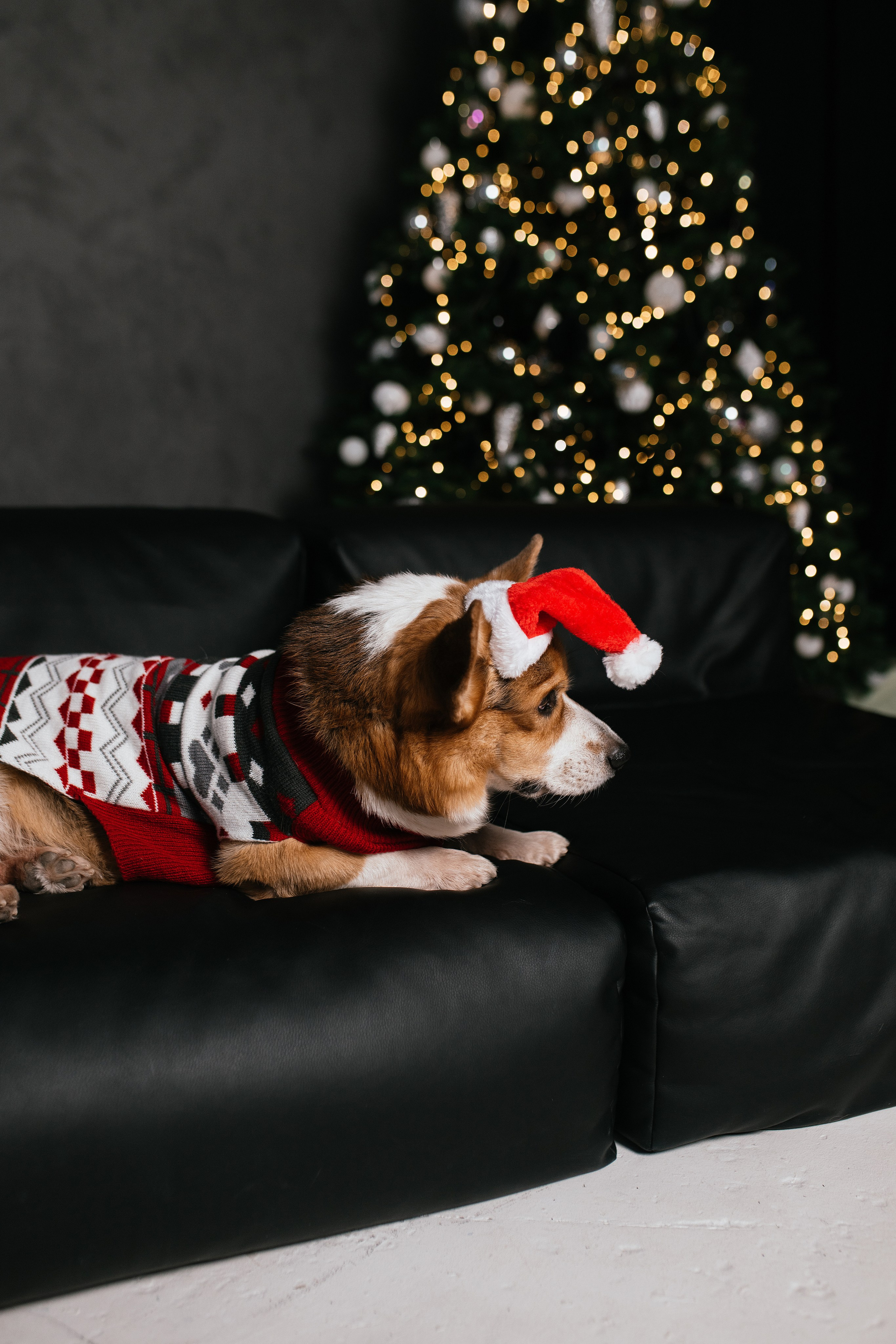 Люда. Свадебный, семейный фотограф в Рязани Лена Брант