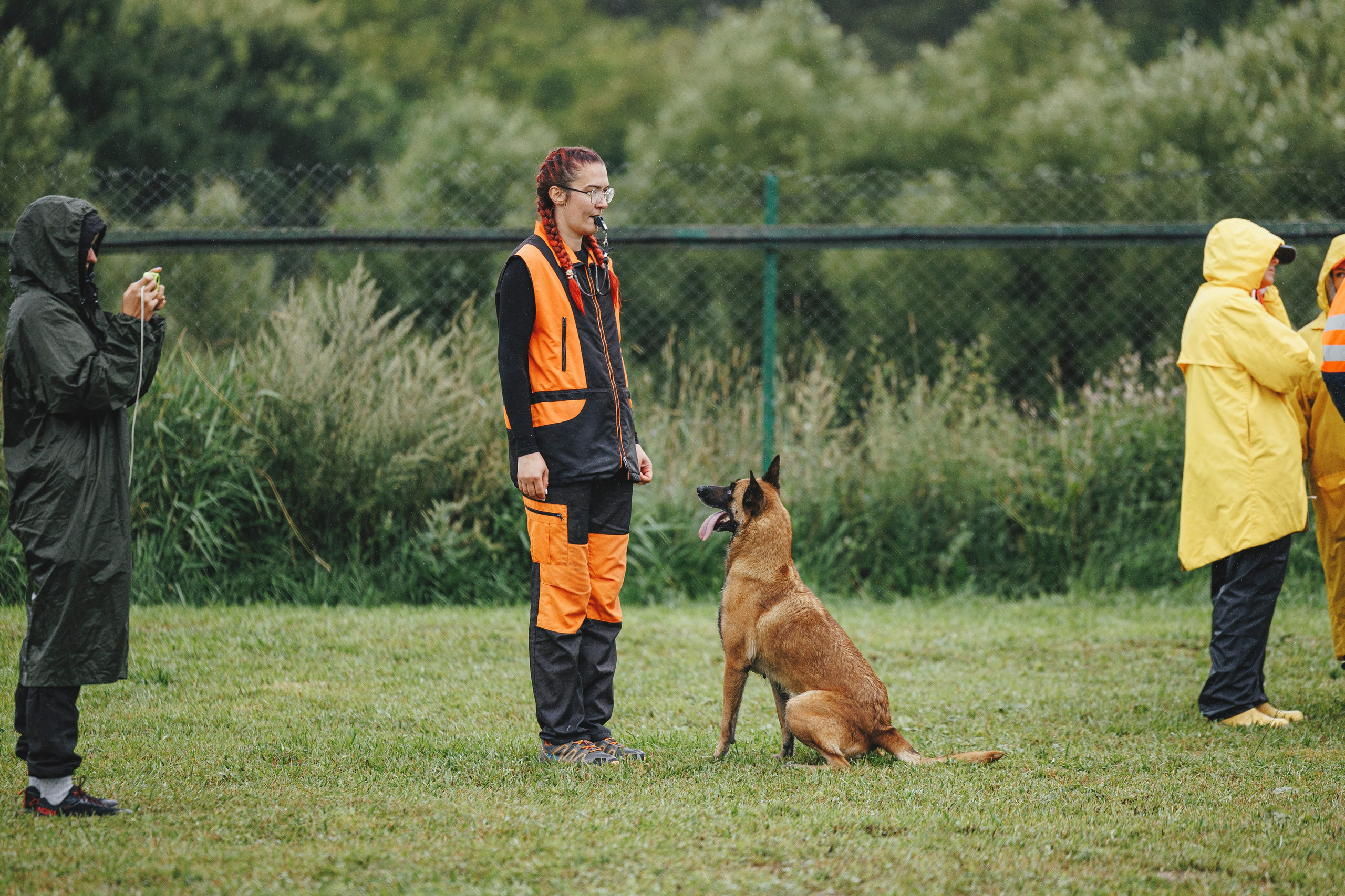 08.08.25-10.08.25 ЧР по мондьорингу г. Вологда. Фотограф-анималист Анна Маринич