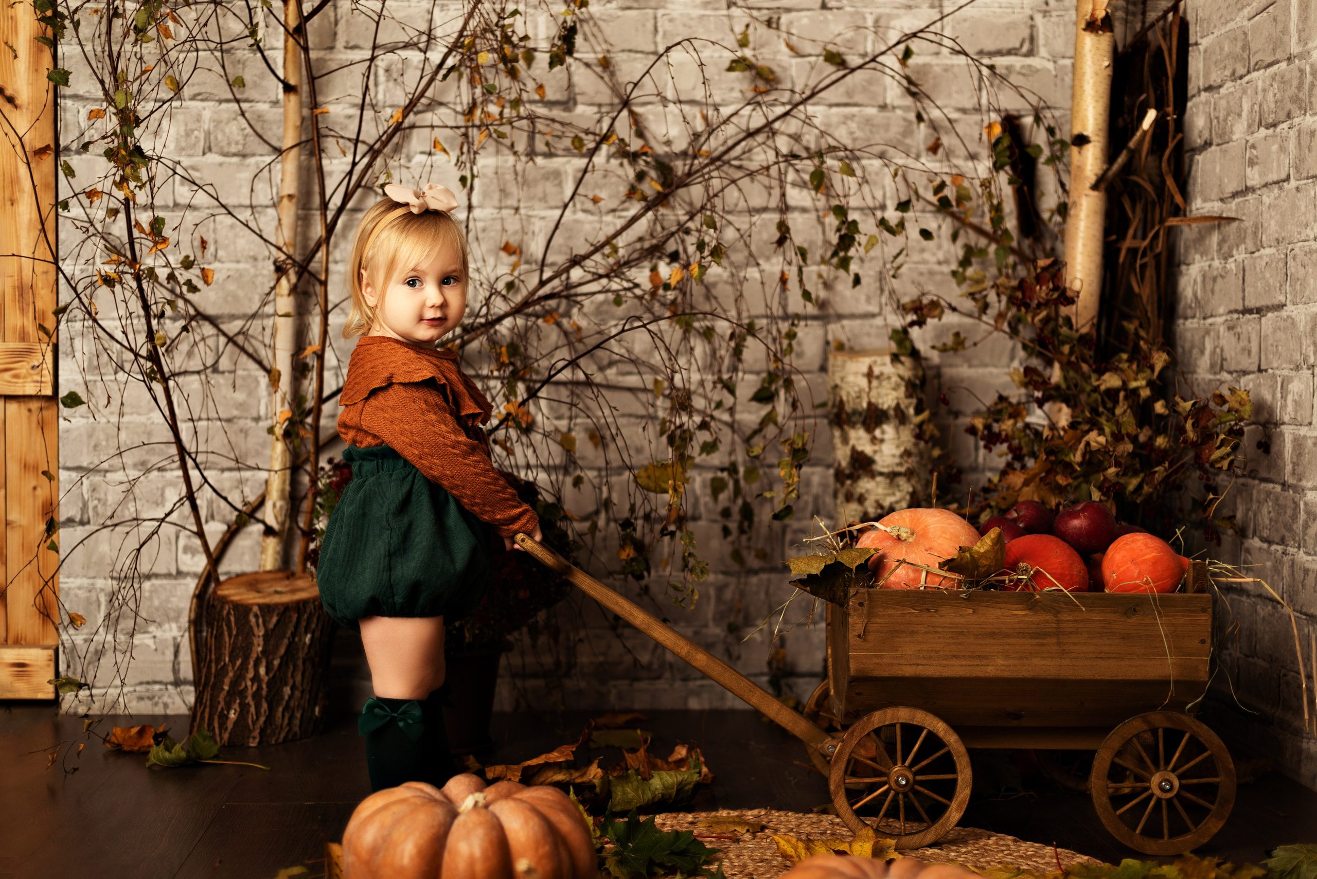 Цены. Детский и семейный фотограф в Люберцах Татьяна Ткаченко