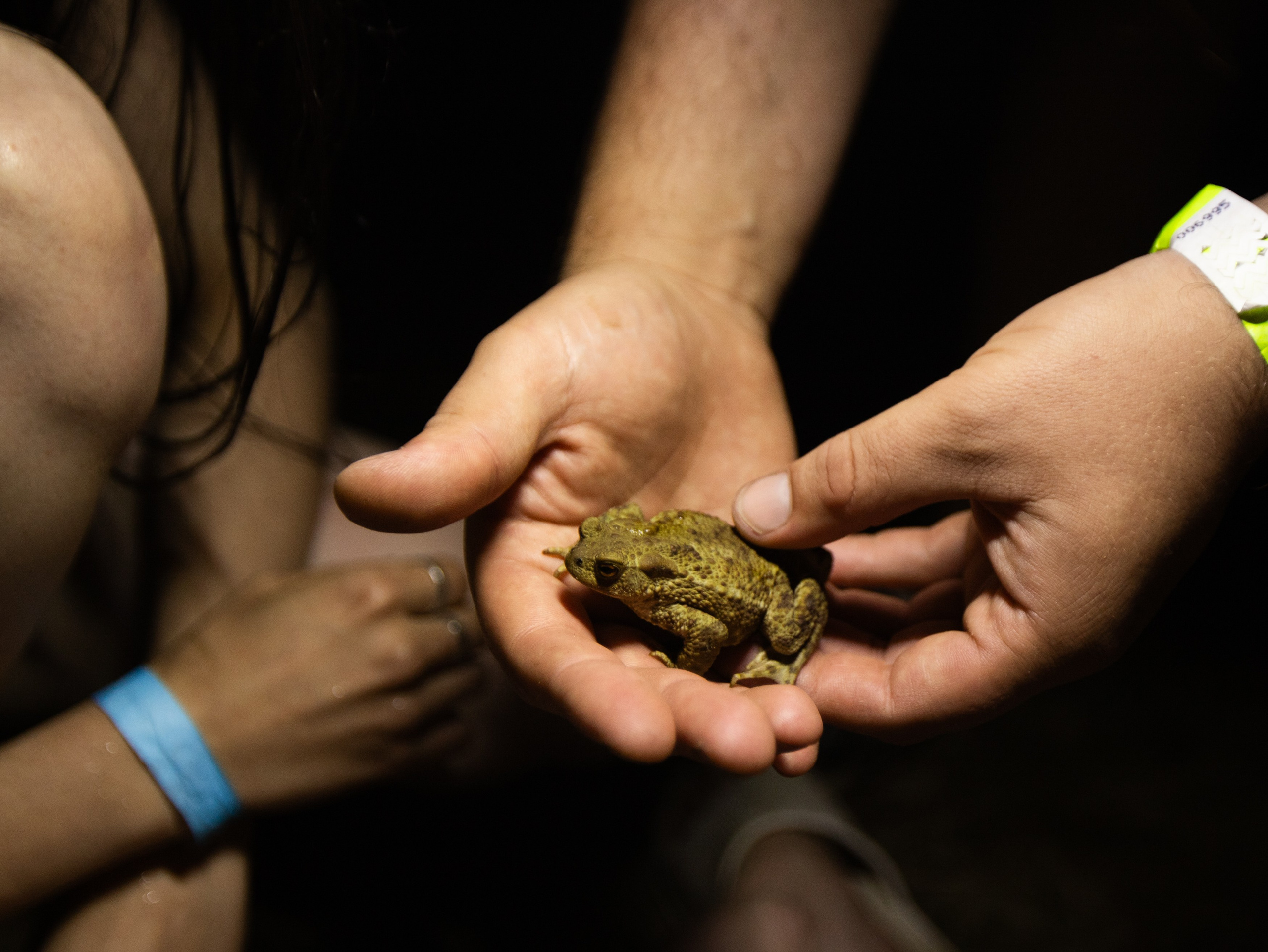 Noway festival 2024. Фотограф Мария Немм