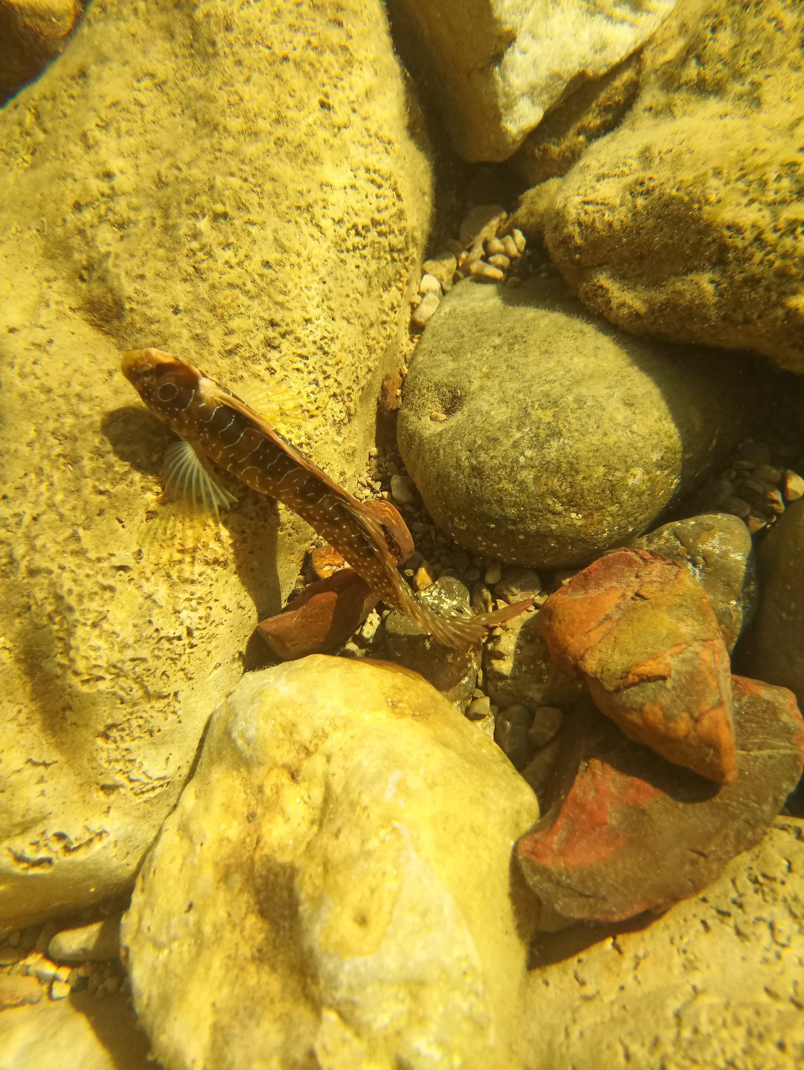 Мобильная фотография. Крым разных лет. Фотохудожник BID