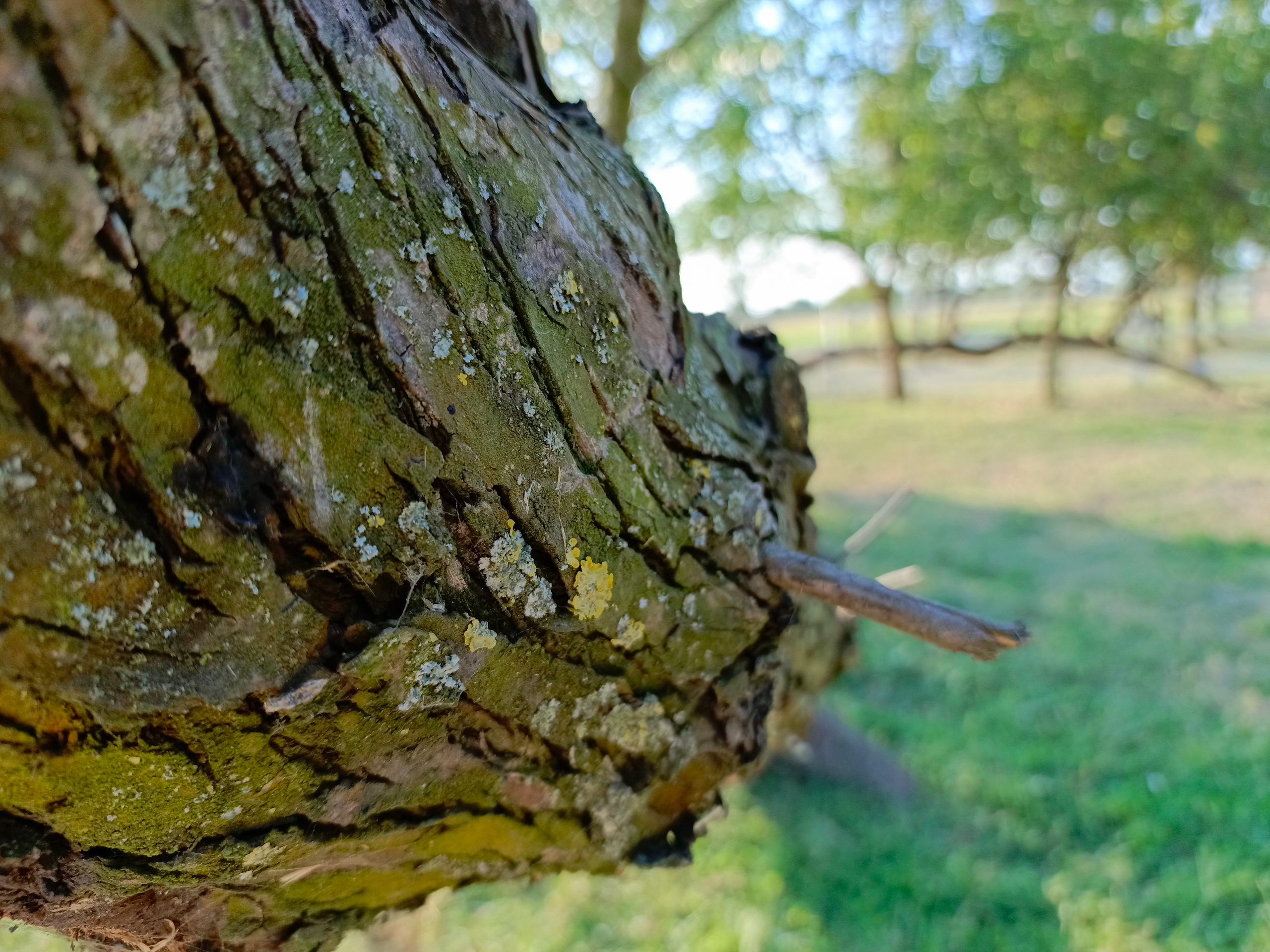 Краснодарский край 2023 Мобильная фотография. Фотохудожник BID