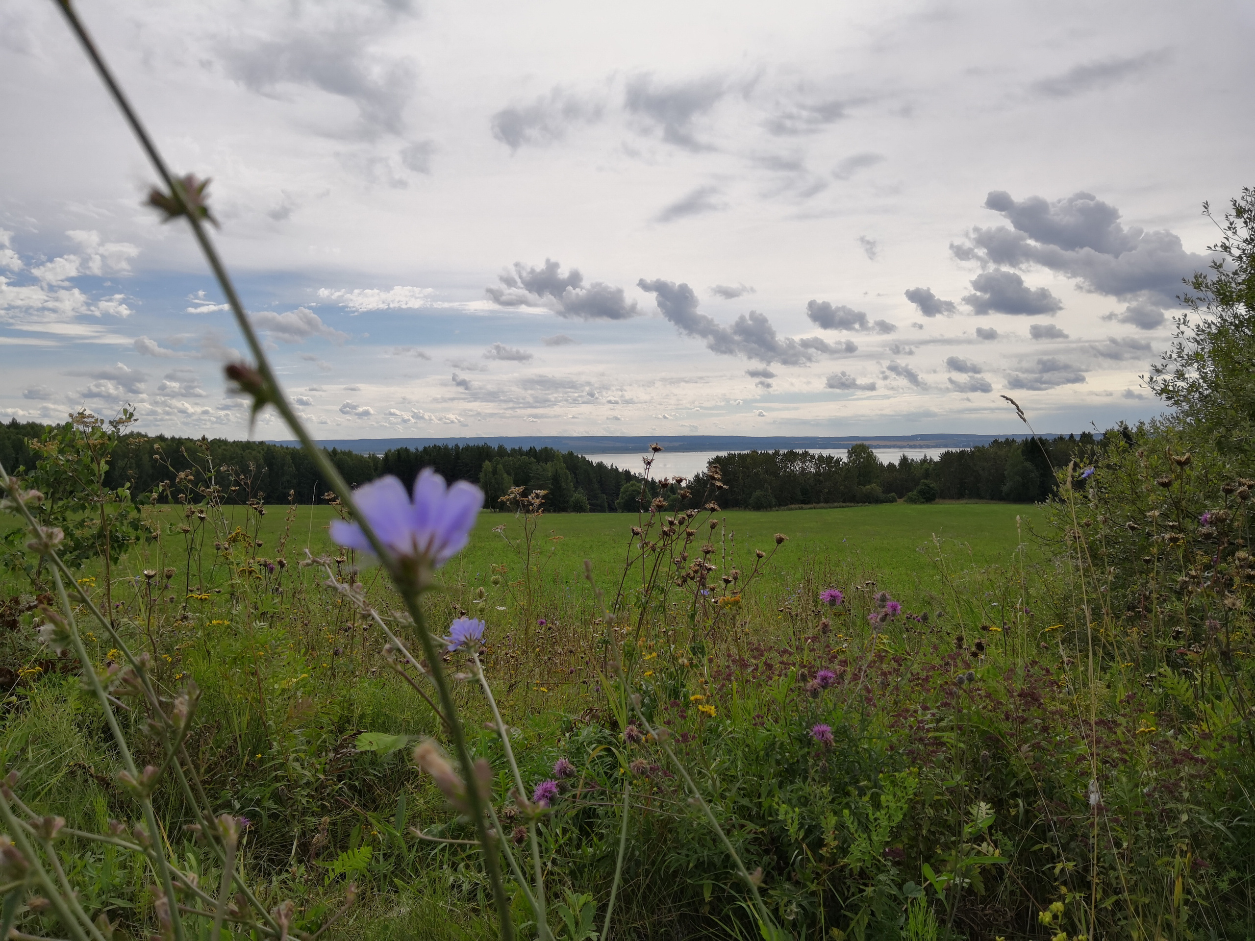 Мобильная фотография. Фотохудожник BID