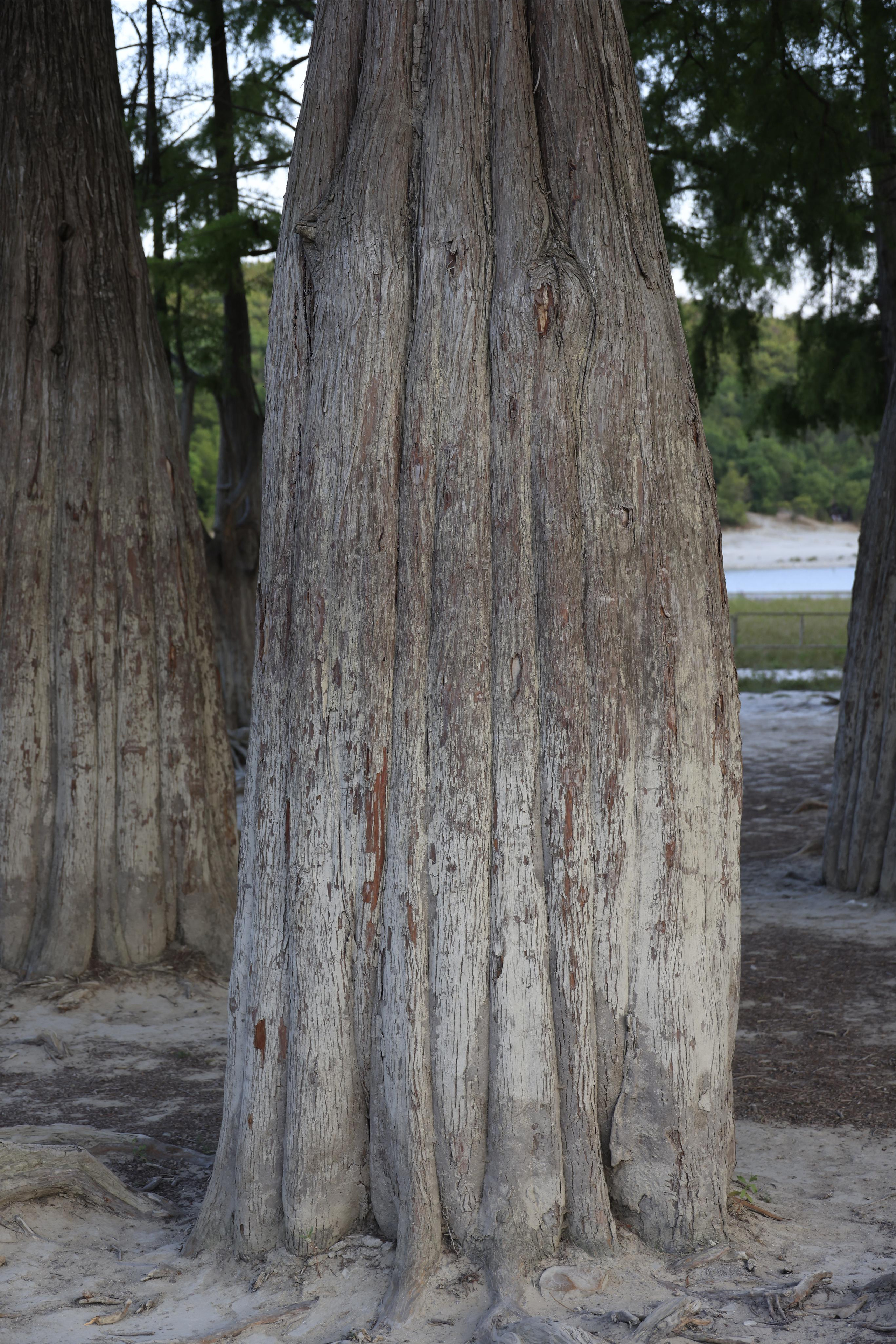 Краснодарский край 2023. Фотохудожник BID