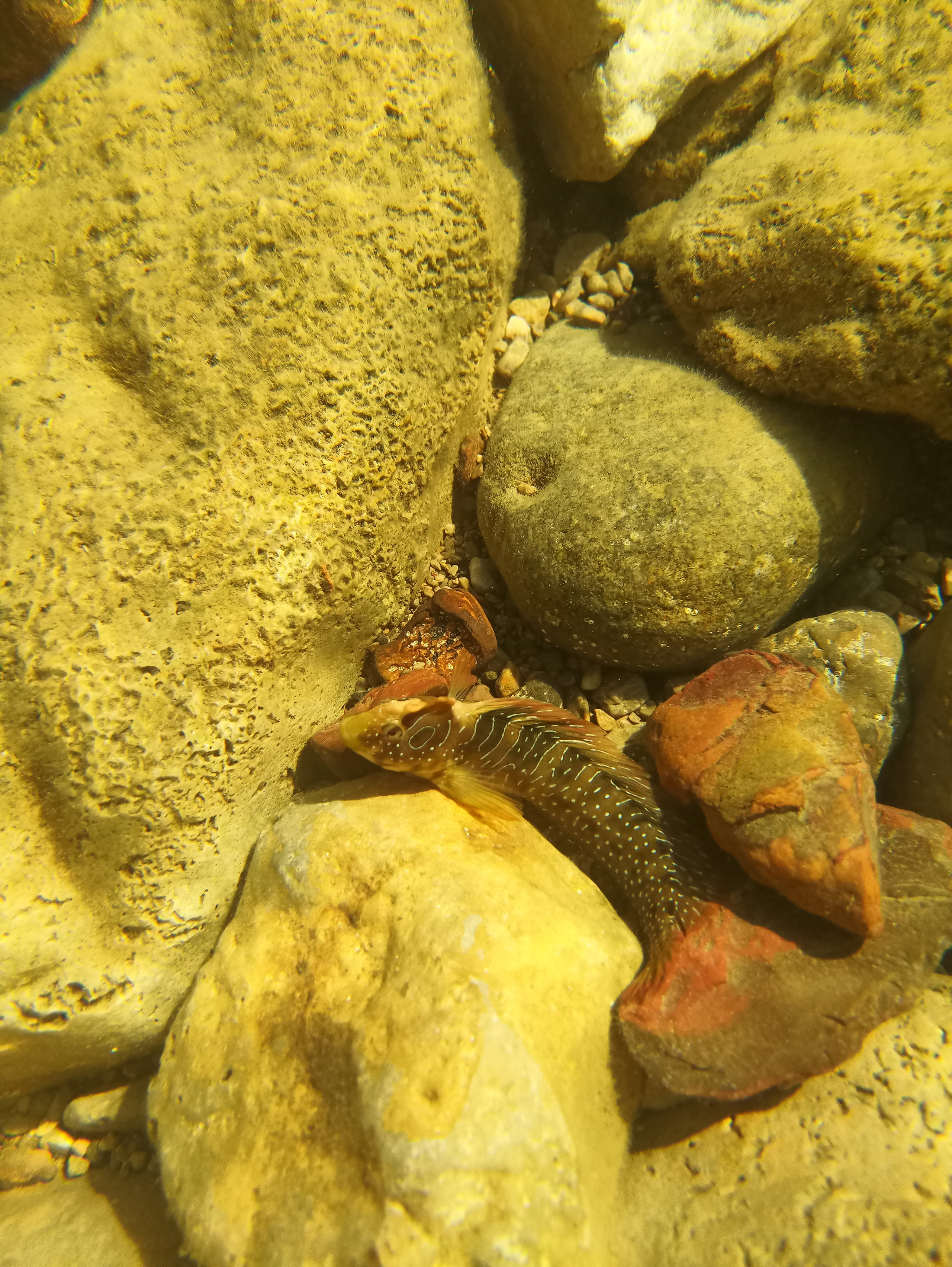 Мобильная фотография. Фотохудожник BID