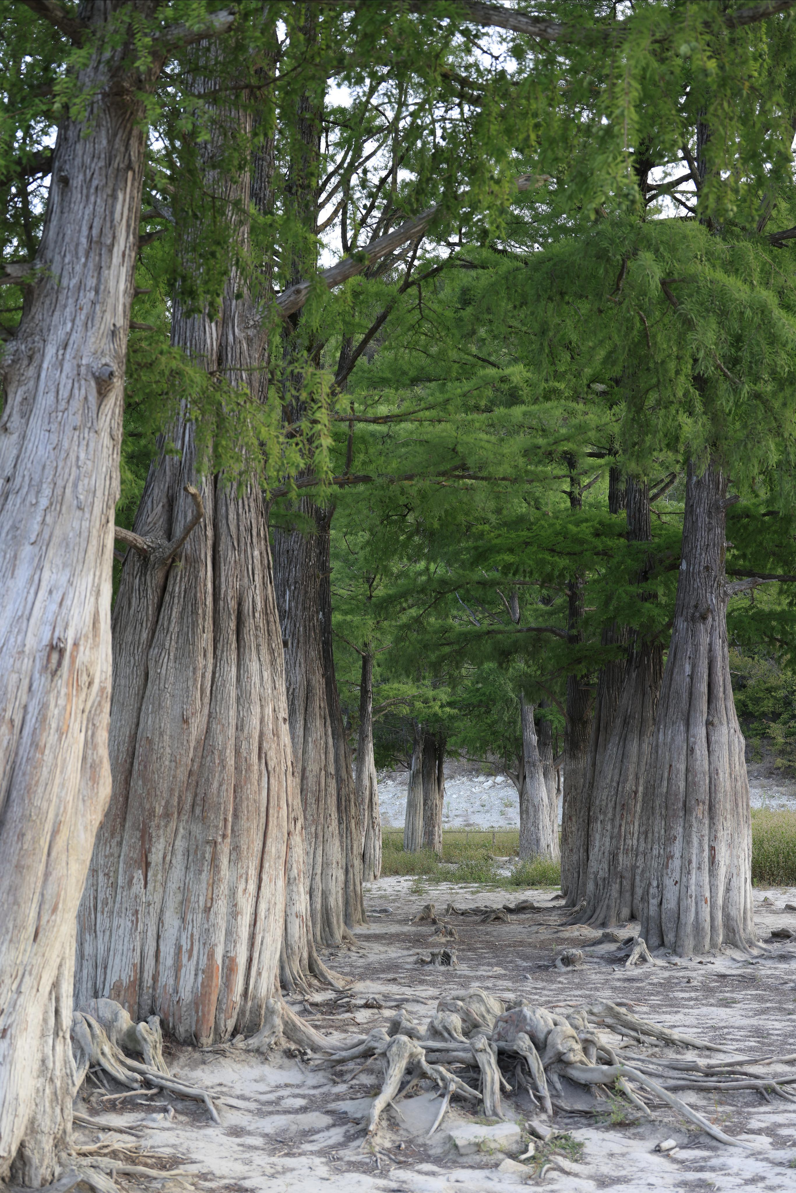 Краснодарский край 2023. Фотохудожник BID