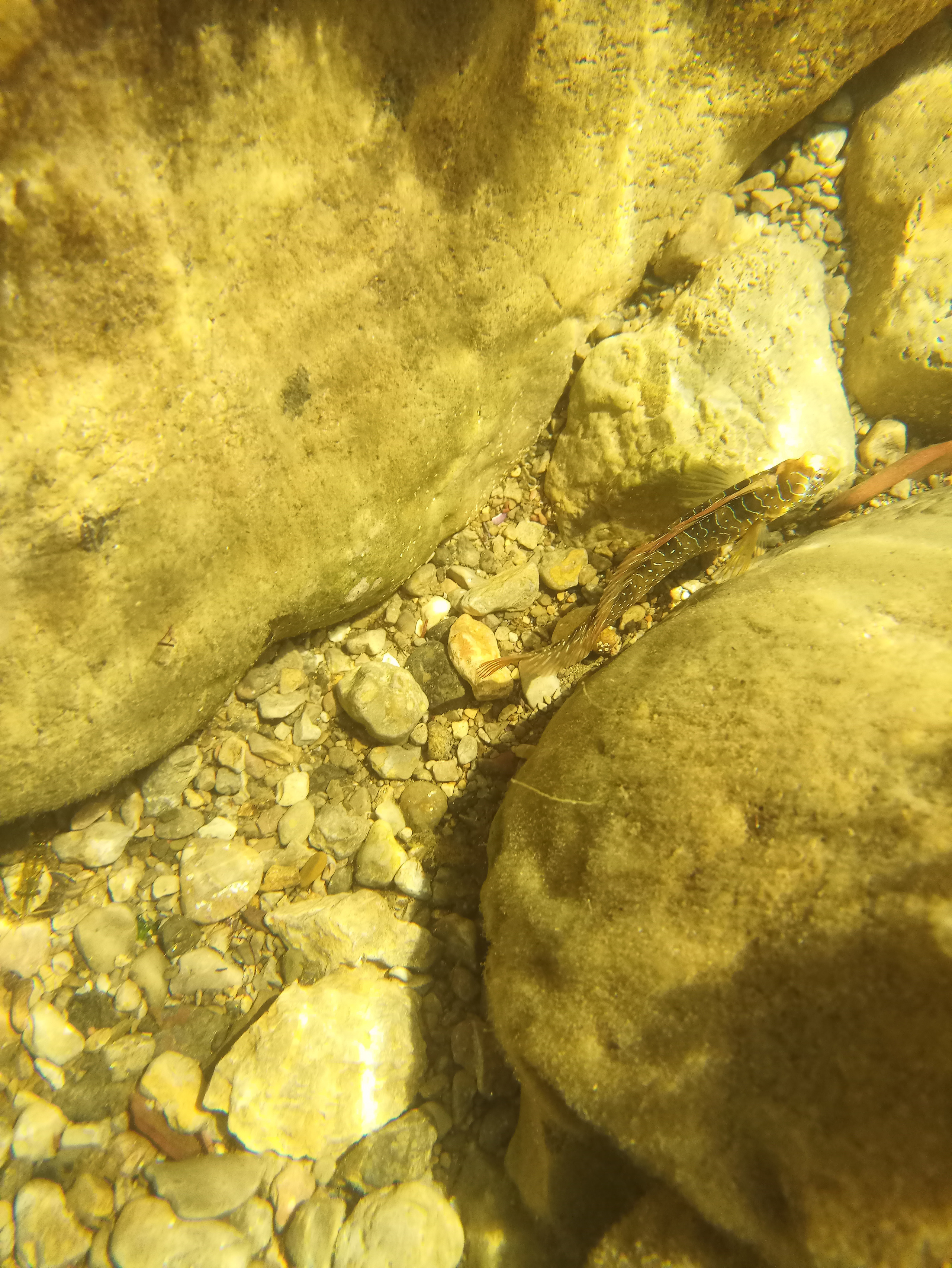 Мобильная фотография. Крым разных лет. Фотохудожник BID