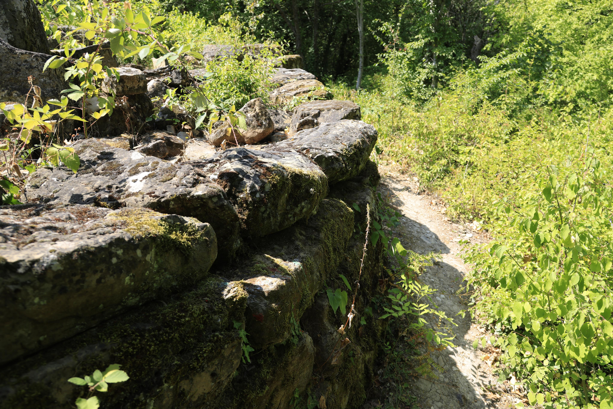 Дольмены около Абрау-Дюрсо 2023. Фотохудожник BID