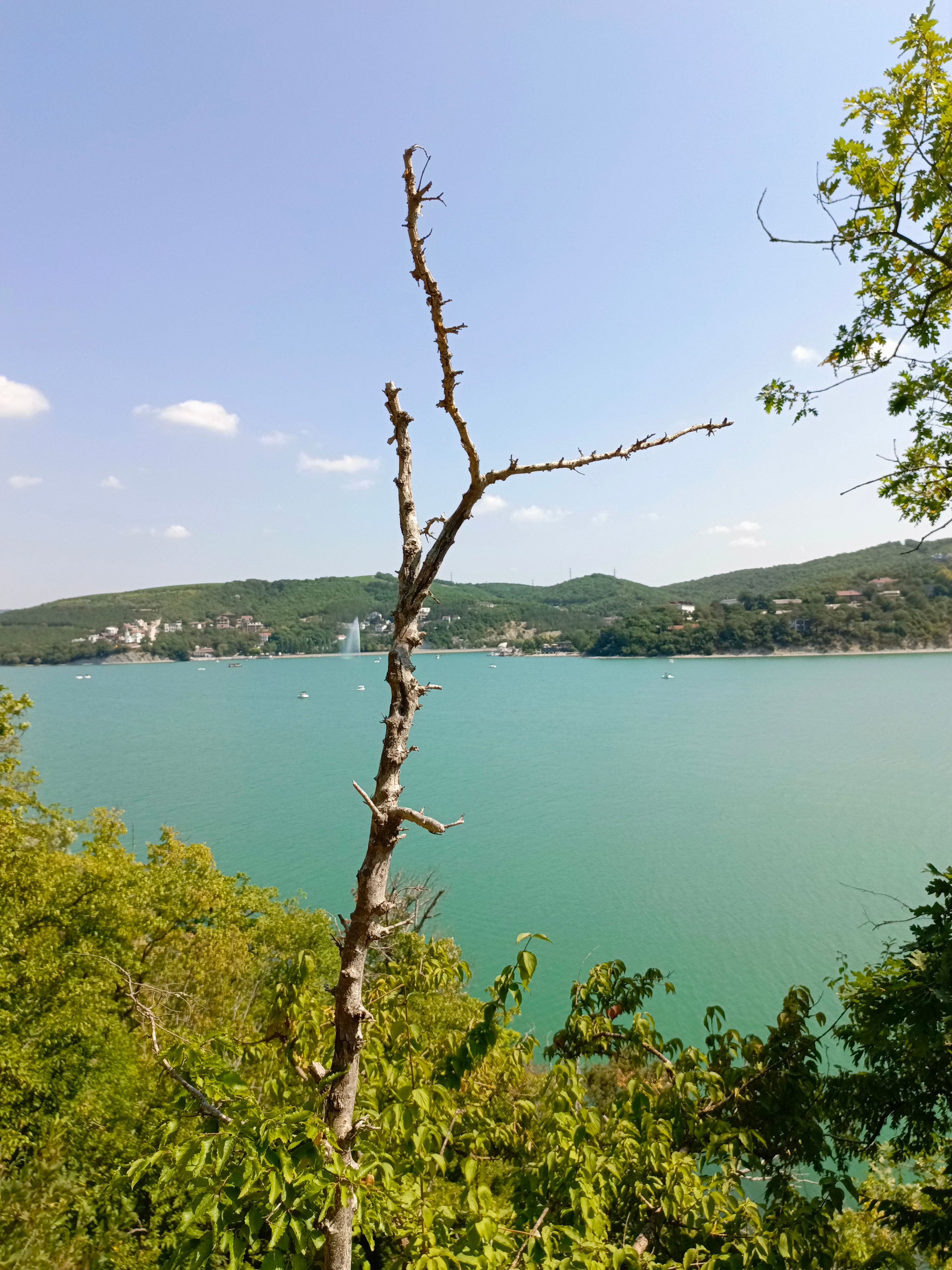 Краснодарский край 2023 Мобильная фотография. Фотохудожник BID