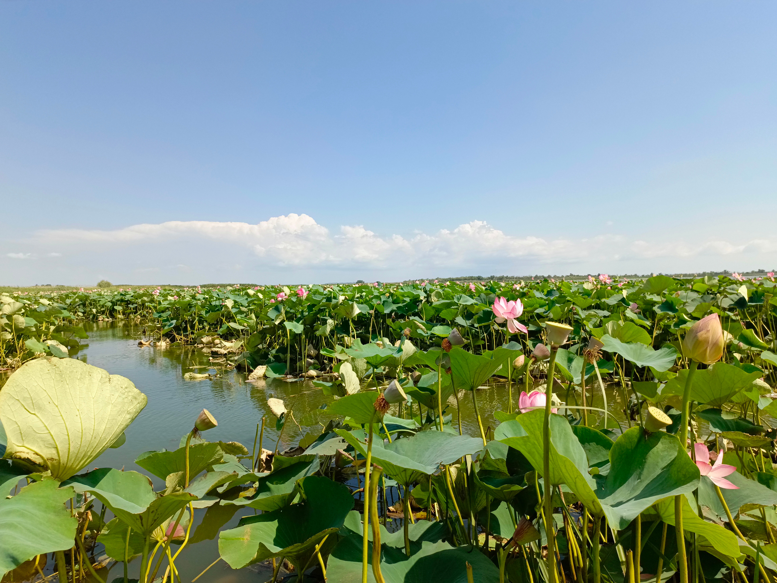 Краснодарский край 2023 Мобильная фотография. Фотохудожник BID